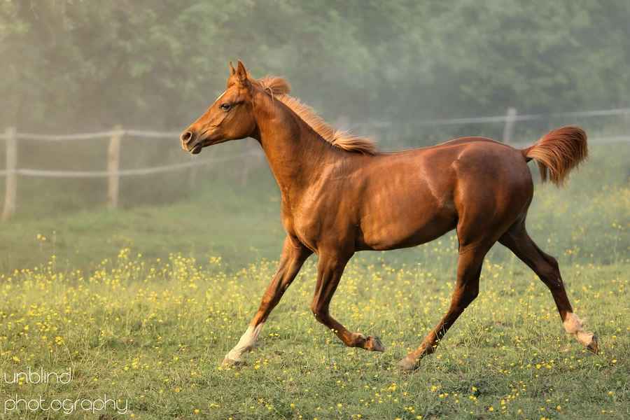 Dia 31 web UNB 3055bb