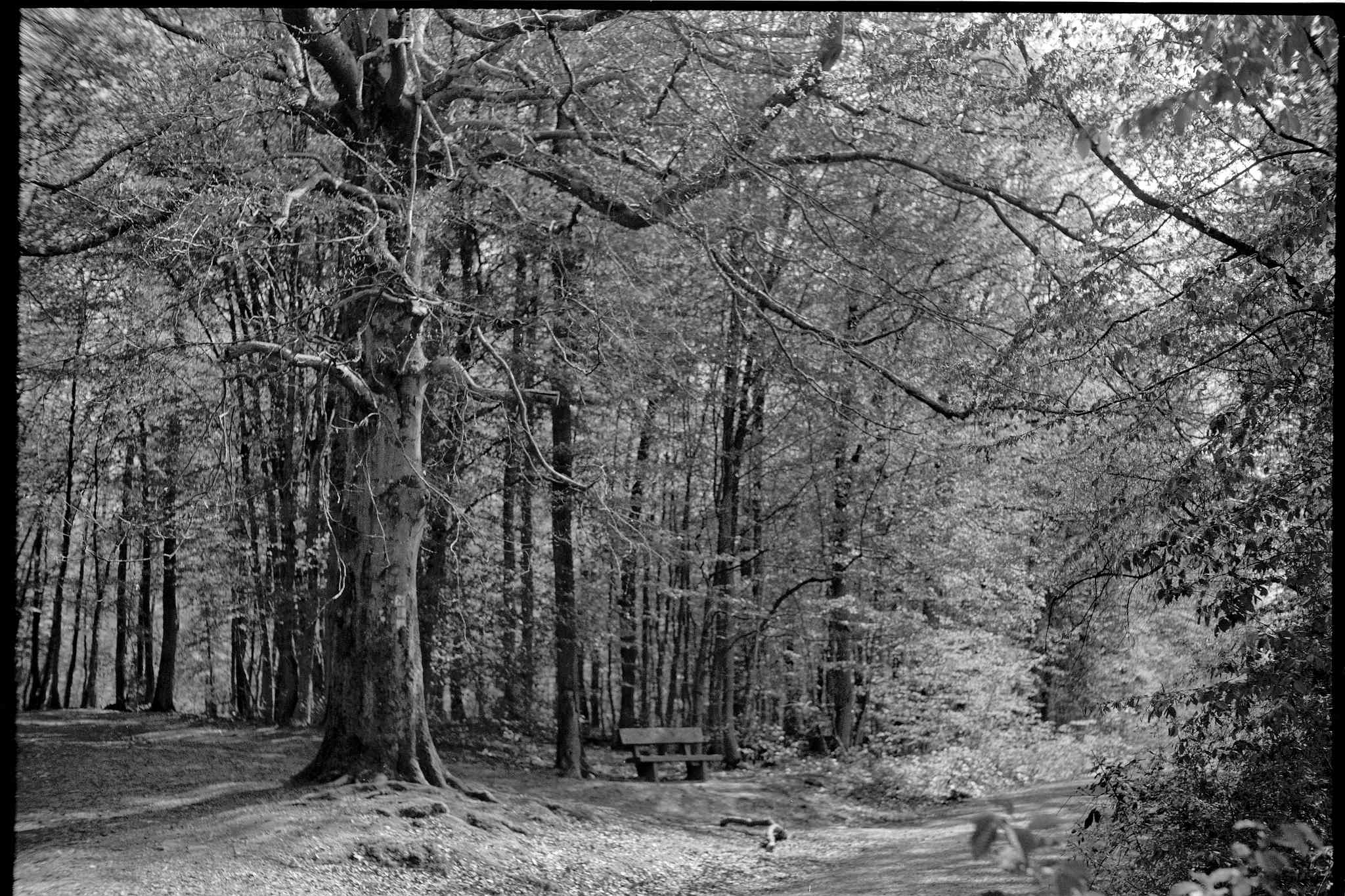 2 plaubel makina von 1931 52020002462 o