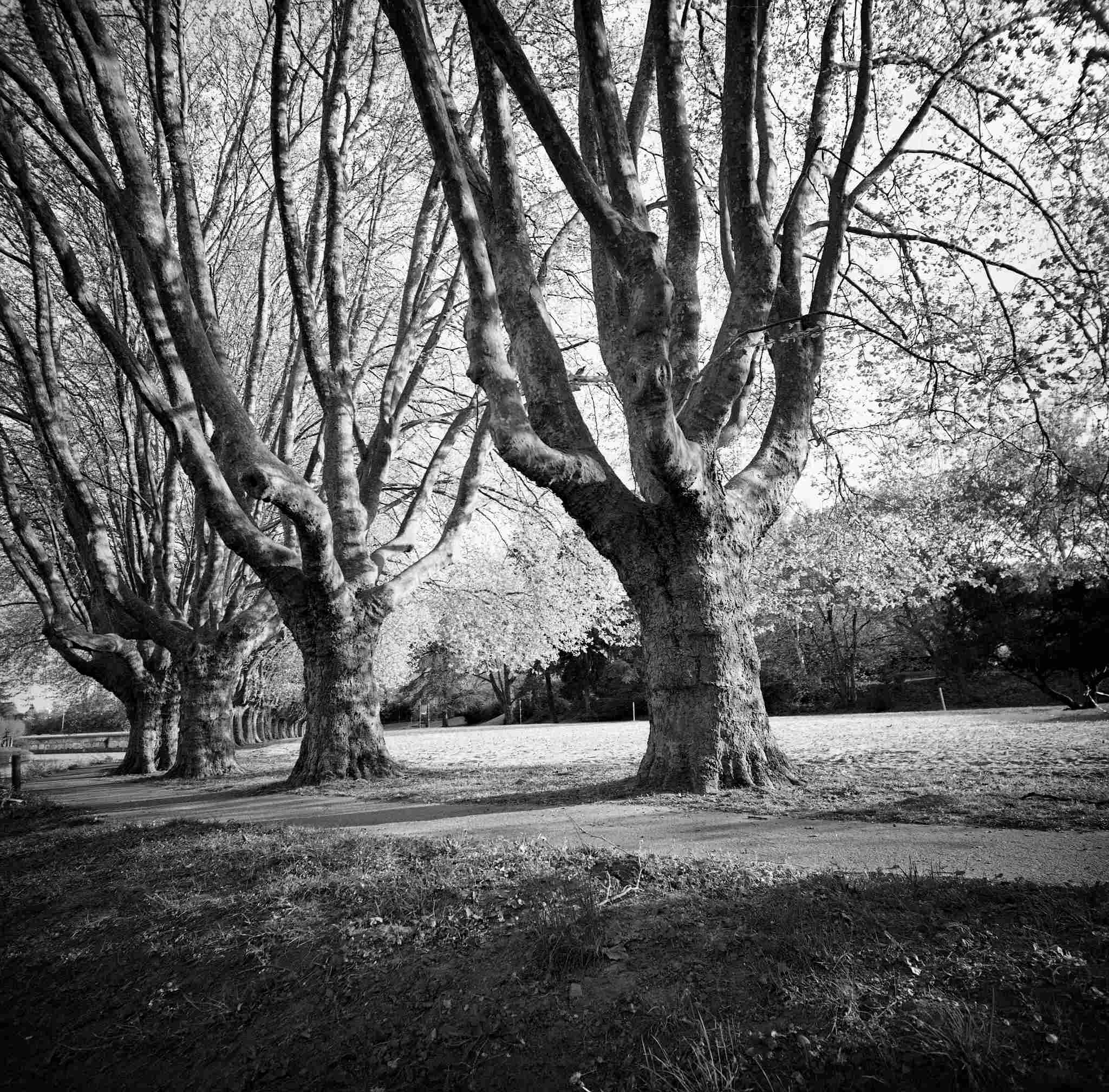 2014 04 14 lomo 06 33244921633 o