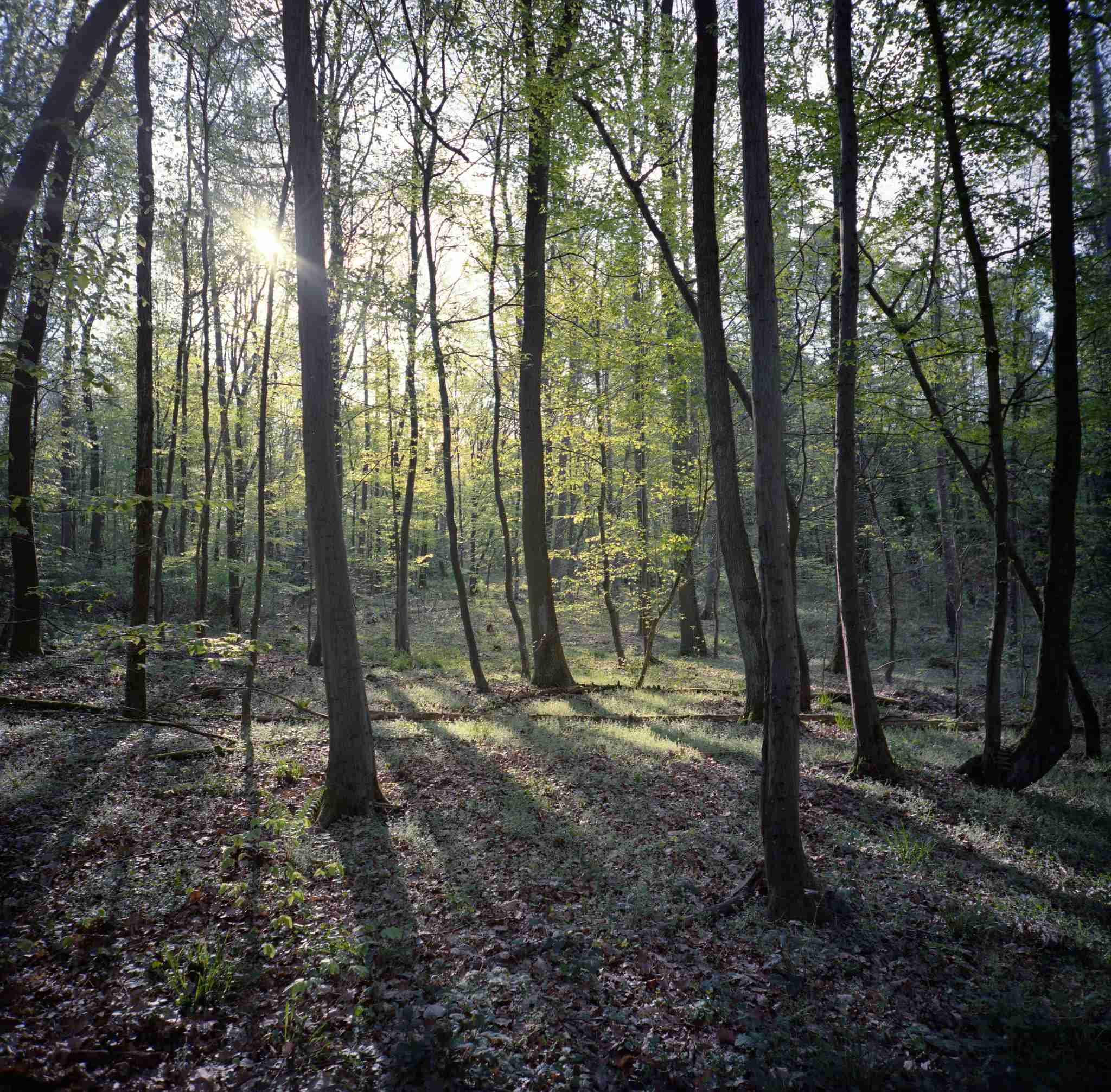 2017 04 14 lomo lca 120 03 33187033104 o