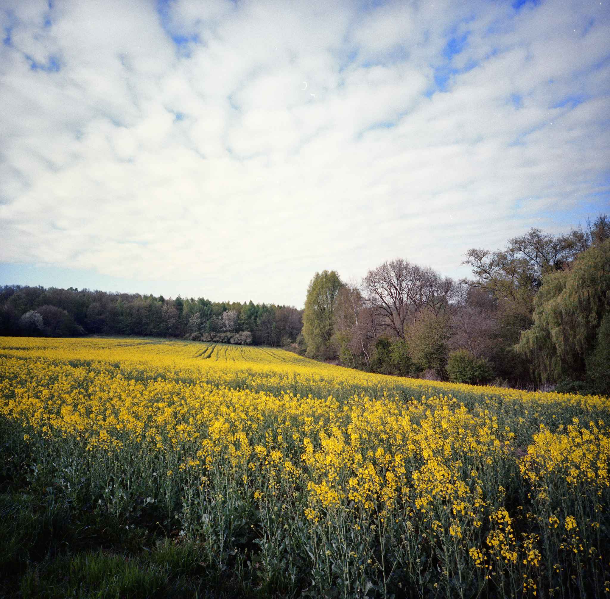 2017 04 14 lomo lca 120 06 33989289296 o