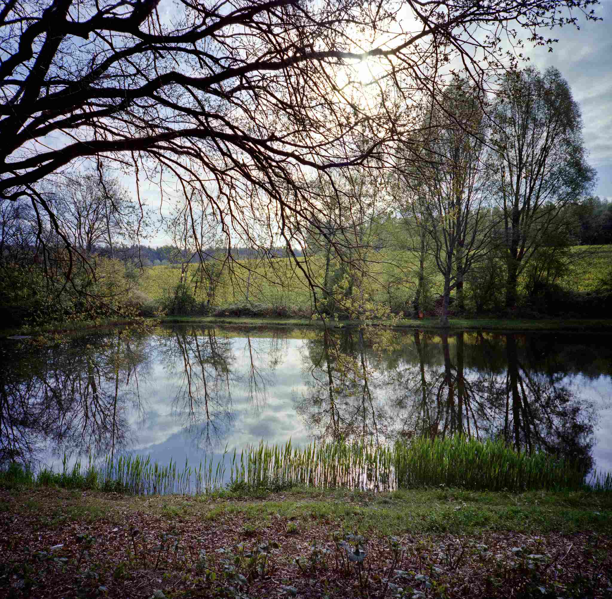 2017 04 14 lomo lca 120 08 33217723203 o