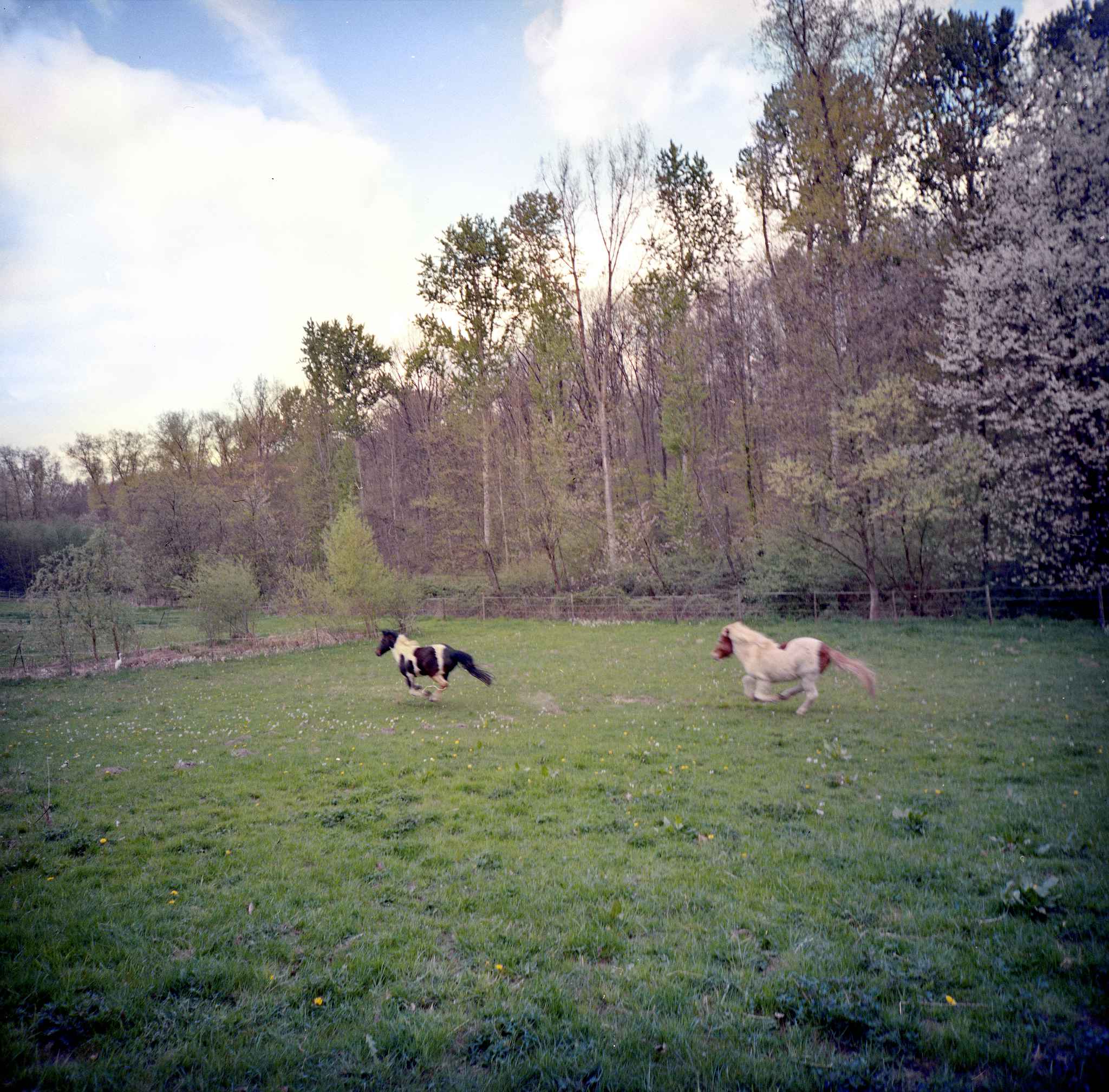 2017 04 14 lomo lca 120 10 34030242135 o