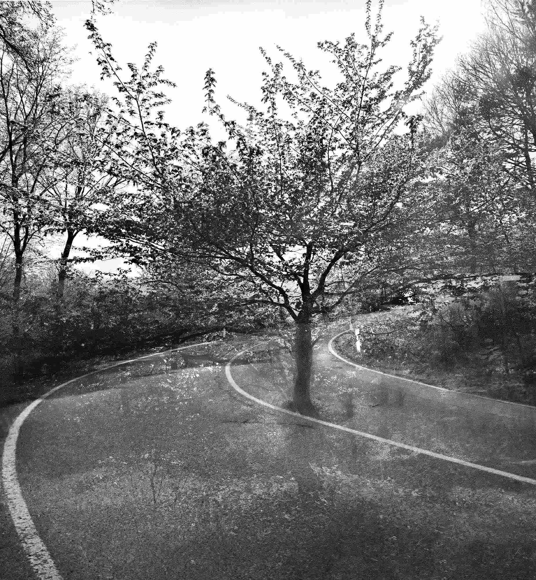 2017 04 20 lomo 02 vkl 34131986066 o