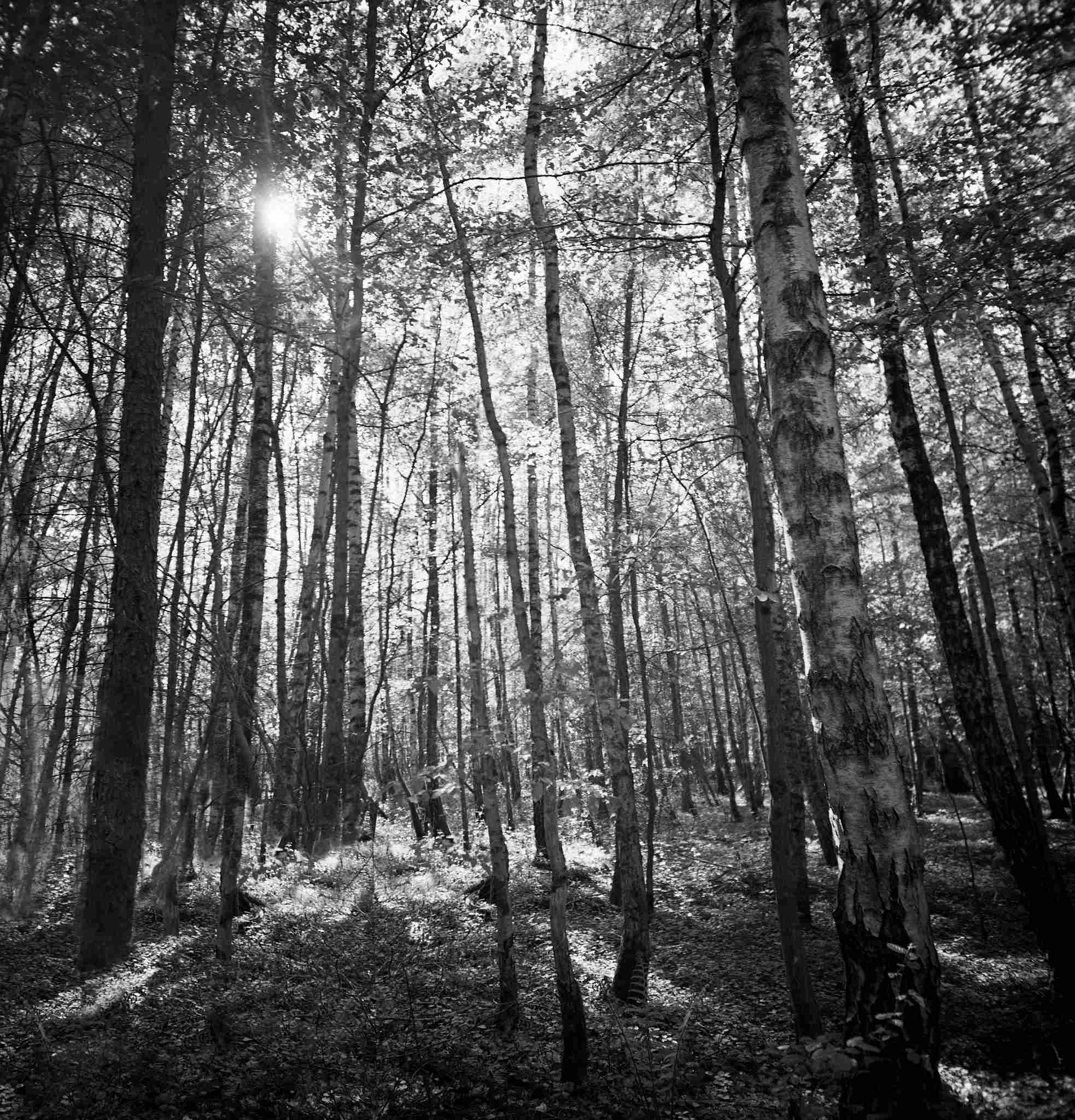 2017 04 23 lomo lc a 120 05 34227050985 o