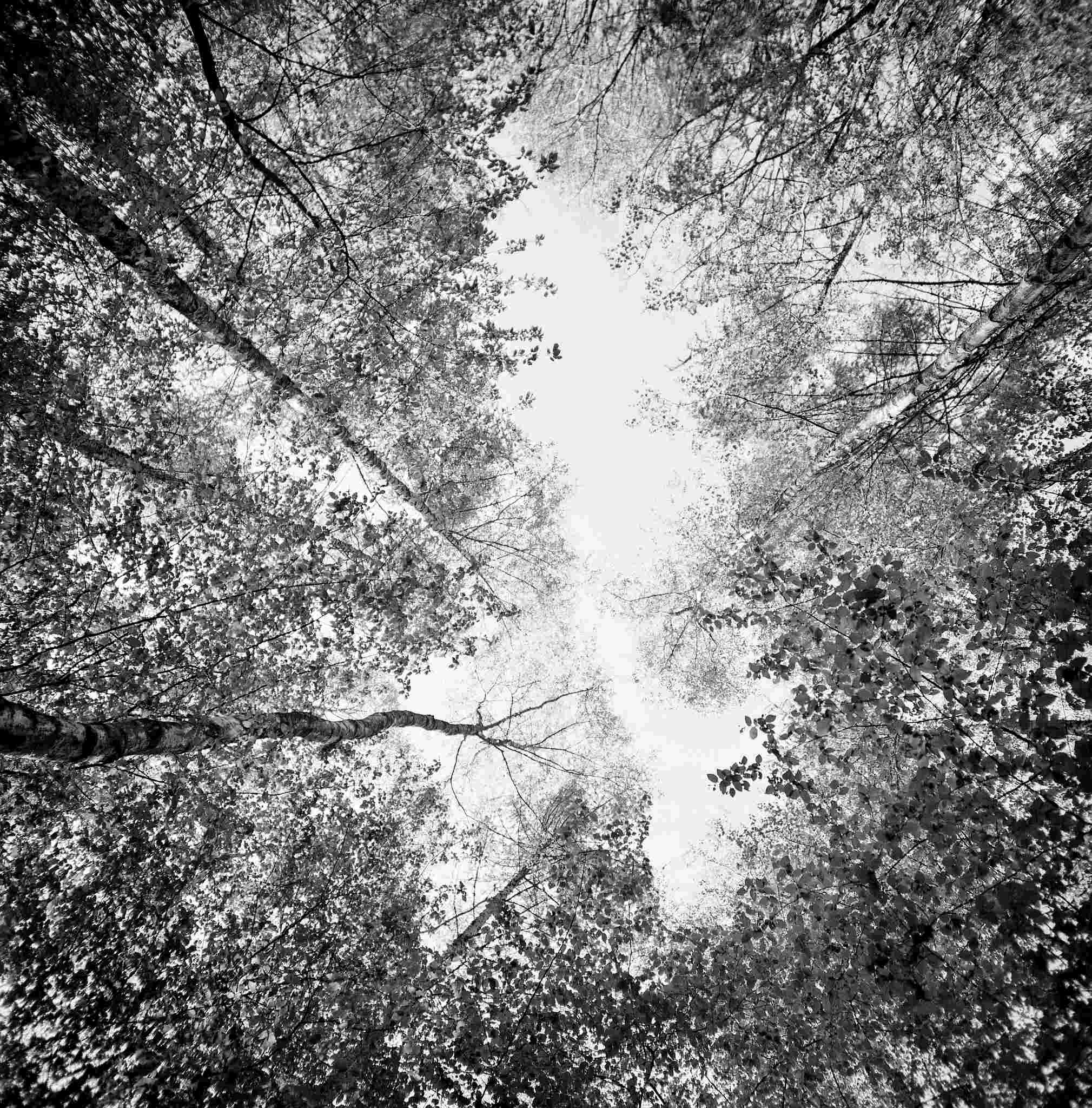 2017 04 23 lomo lc a 120 06 34227055595 o