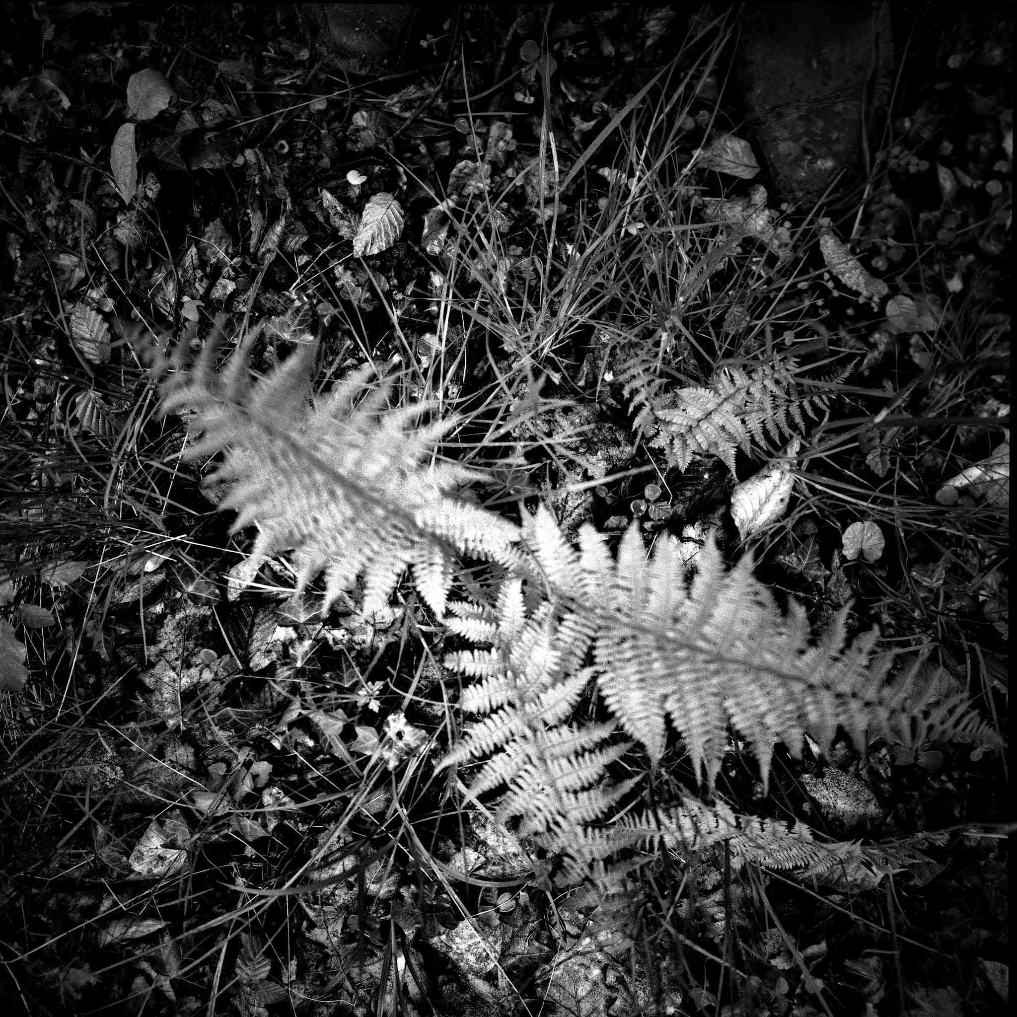 2017 05 04  lomo lca 120 02 34070461420 o