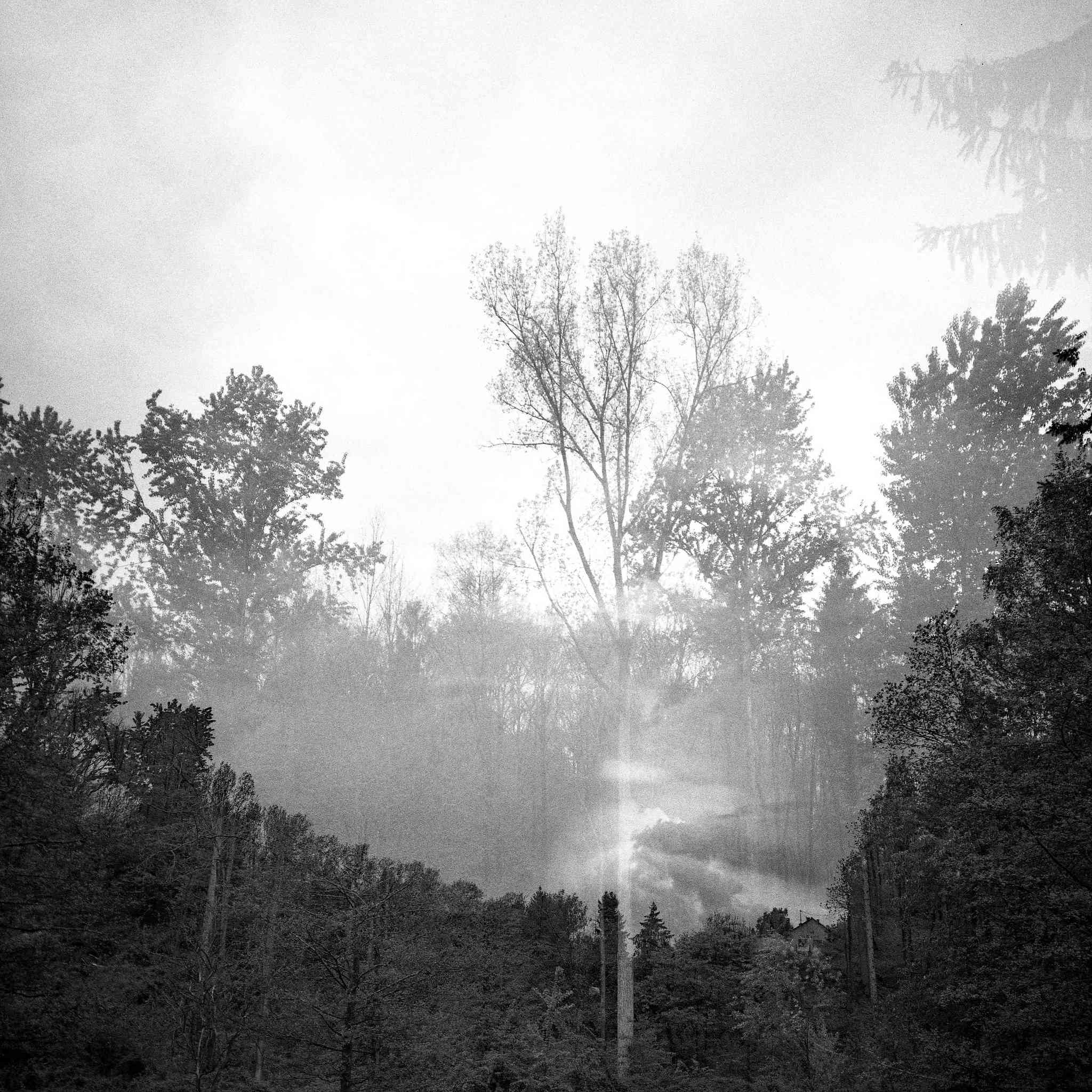 2017 05 04  lomo lca 120 03 34413745176 o