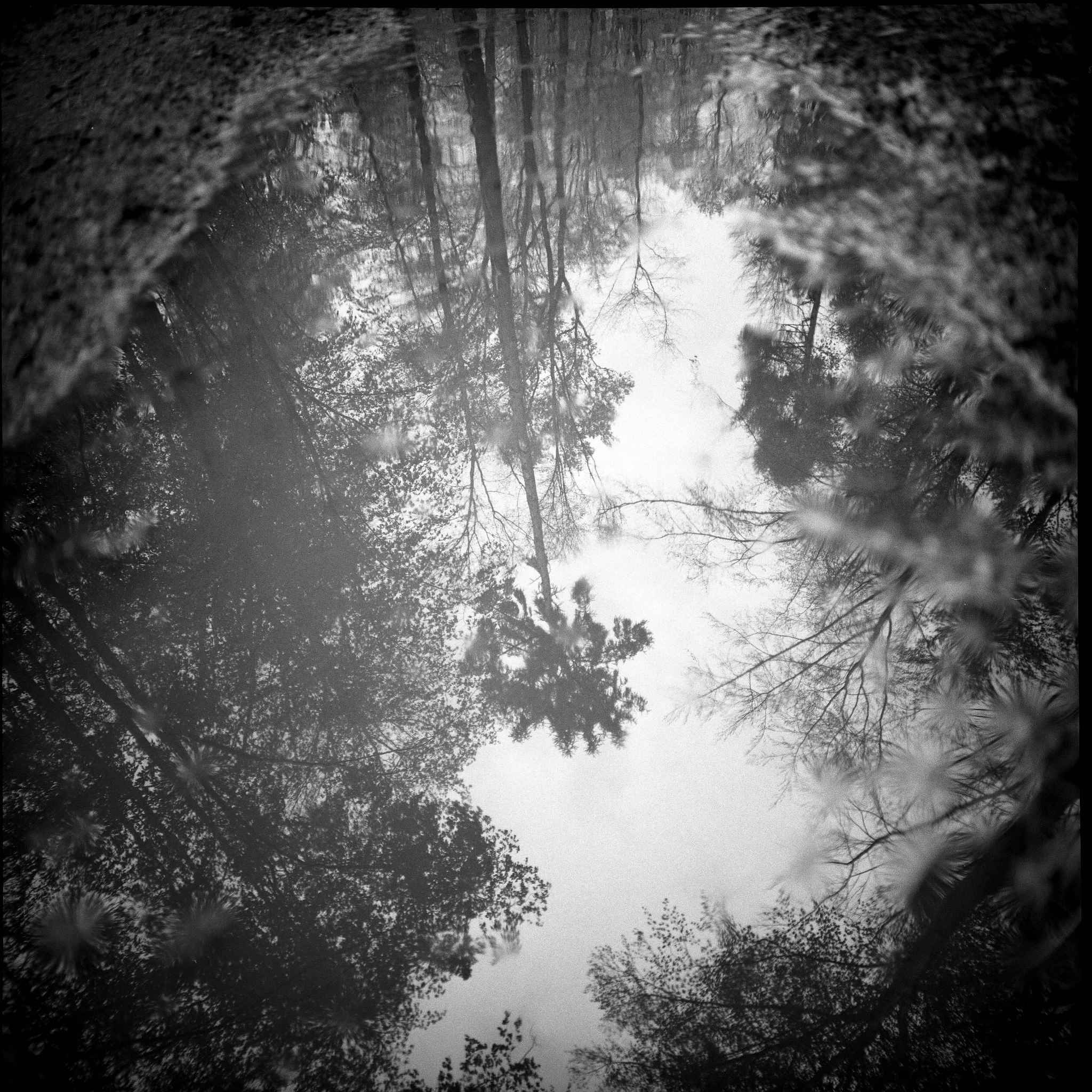 2017 05 04  lomo lca 120 04 33612970764 o