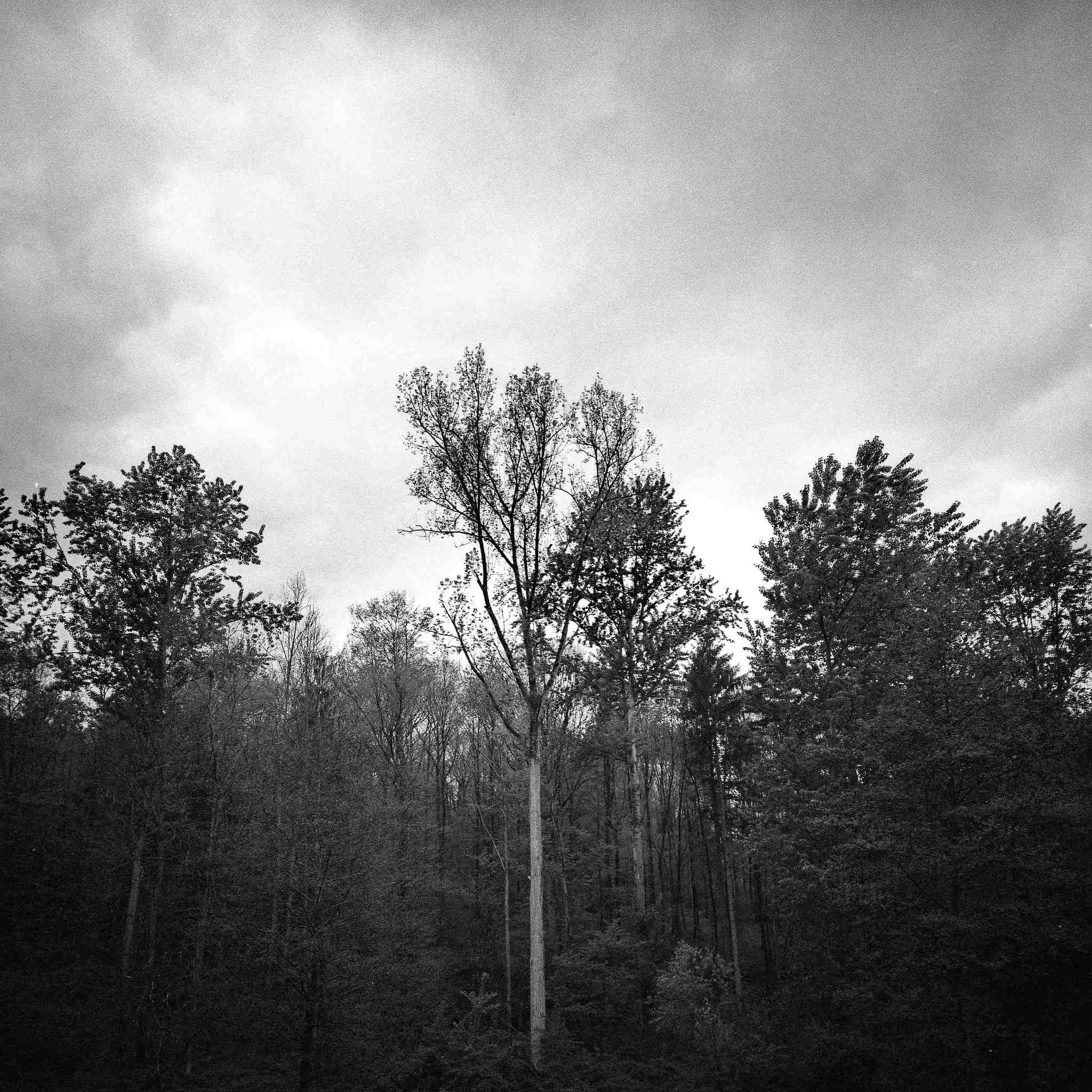 2017 05 04  lomo lca 120 05 34324702841 o