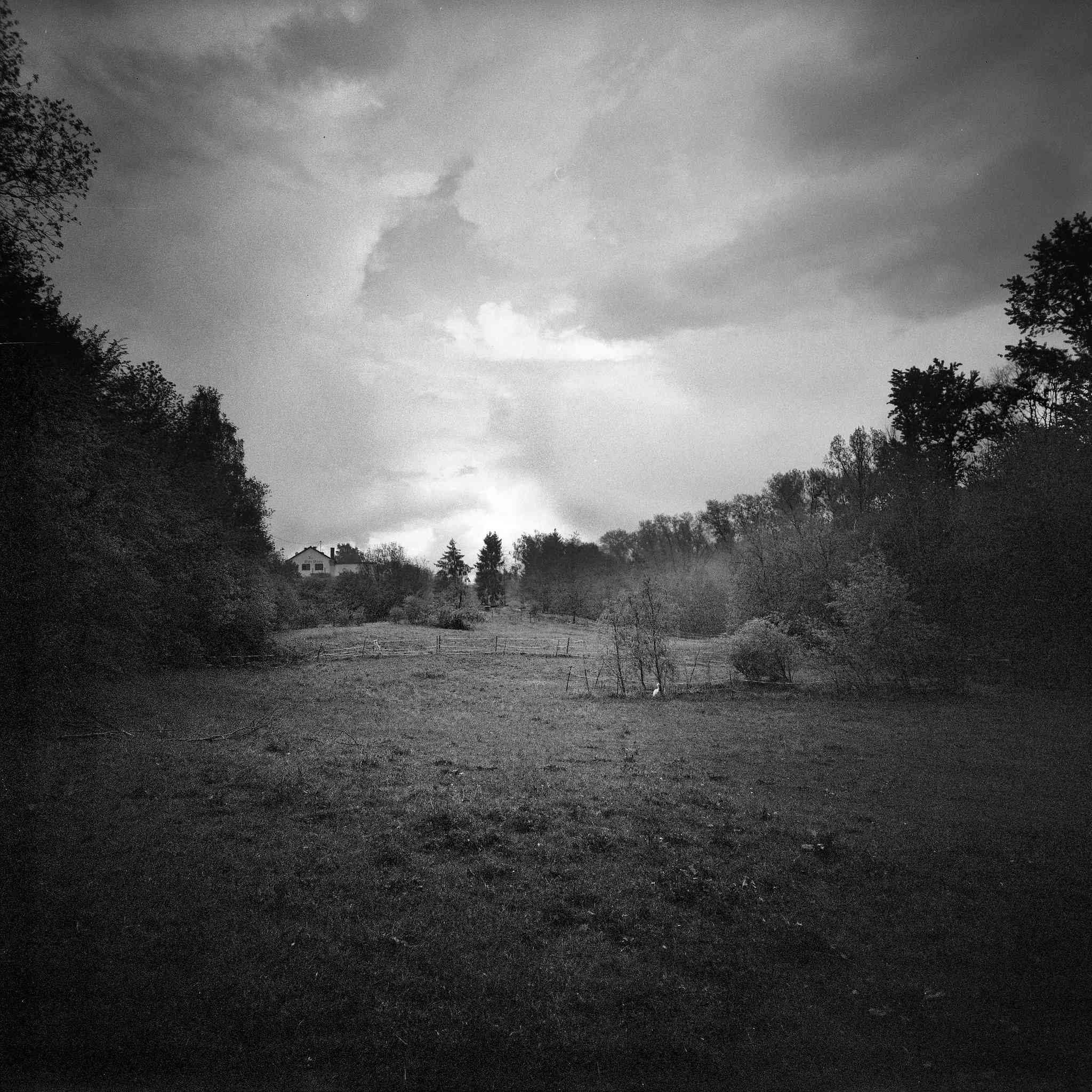 2017 05 04  lomo lca 120 06 33645161673 o