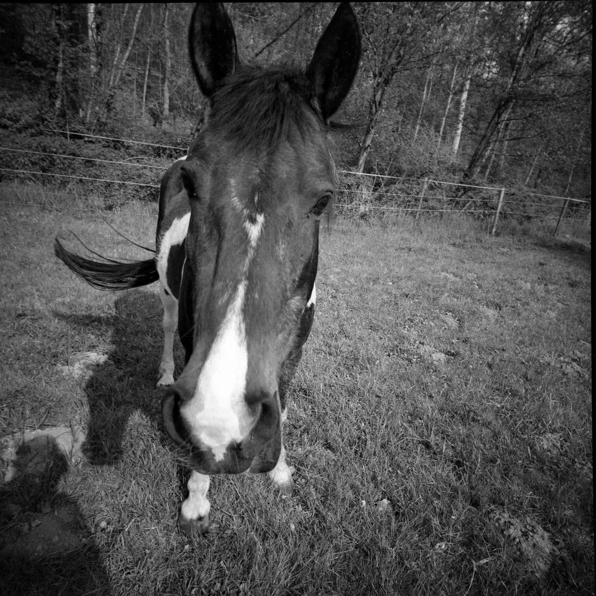 2017 05 04  lomo lca 120 07 33612972874 o