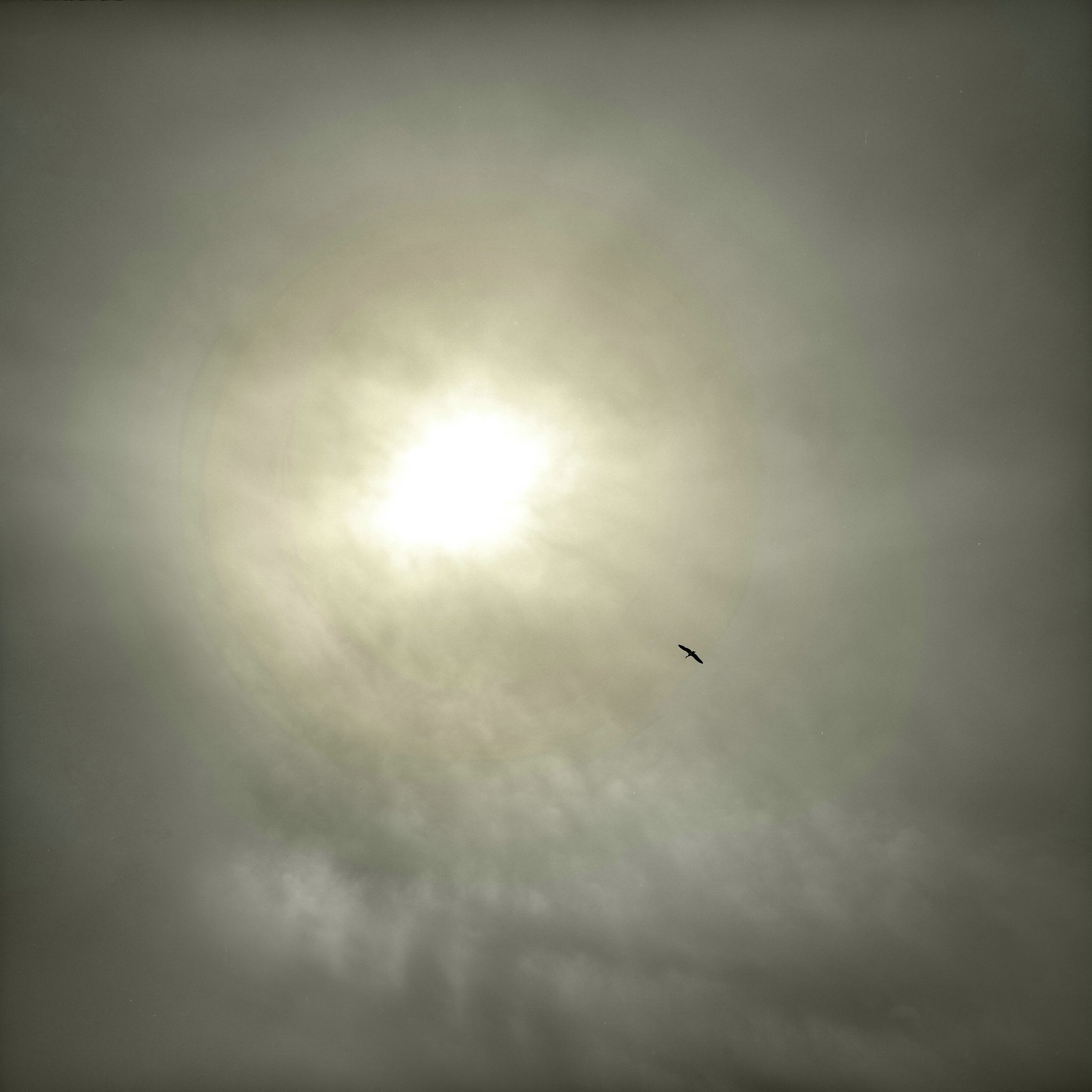 2017 05 06 lomo 03 vkl 34116006090 o