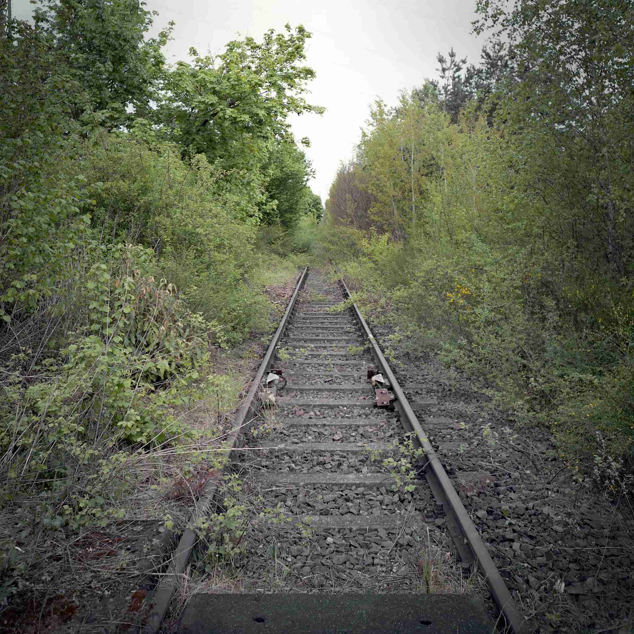 2017 05 06 lomo 04 vkl 33659139494 o