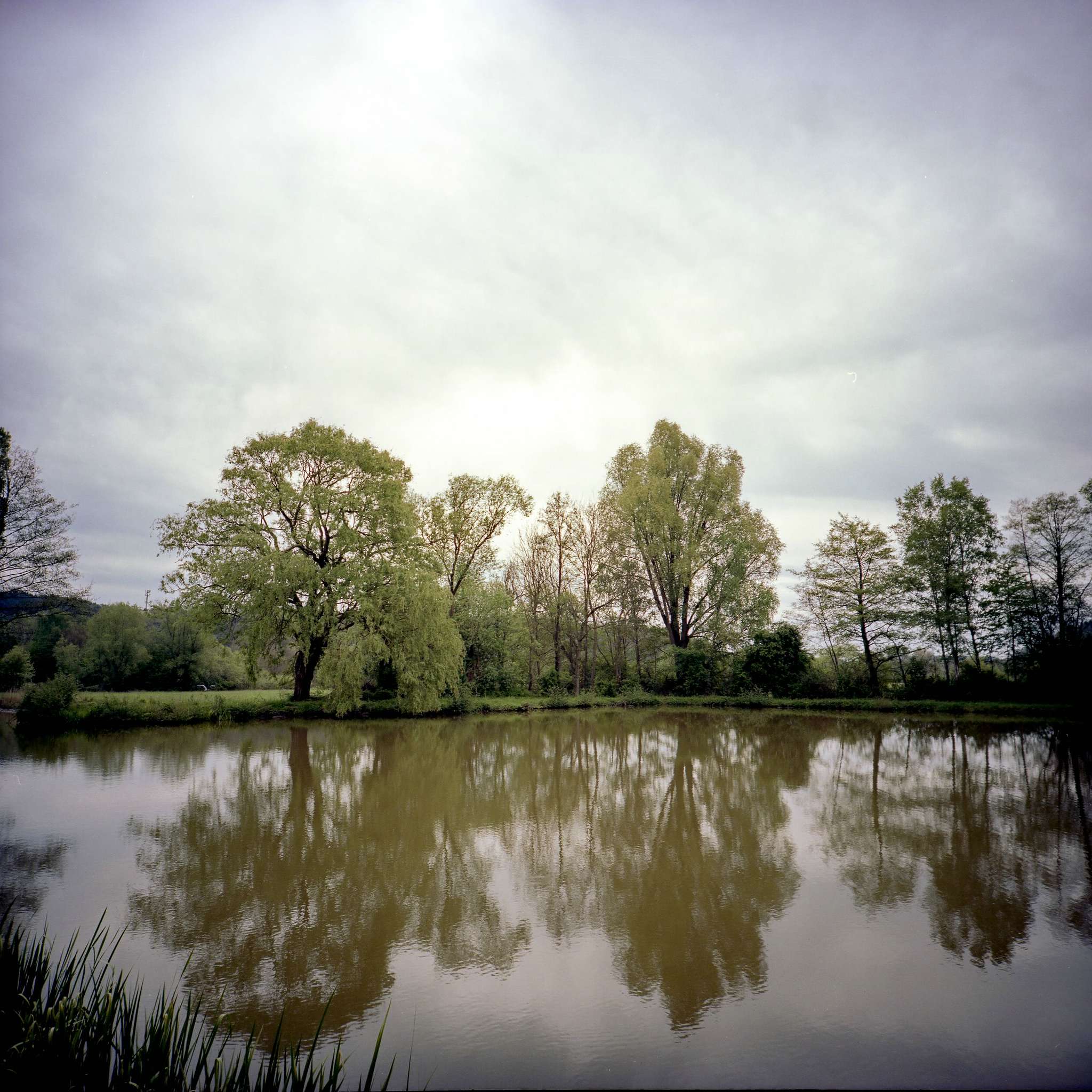 2017 05 06 lomo 05 vkl 33691273453 o