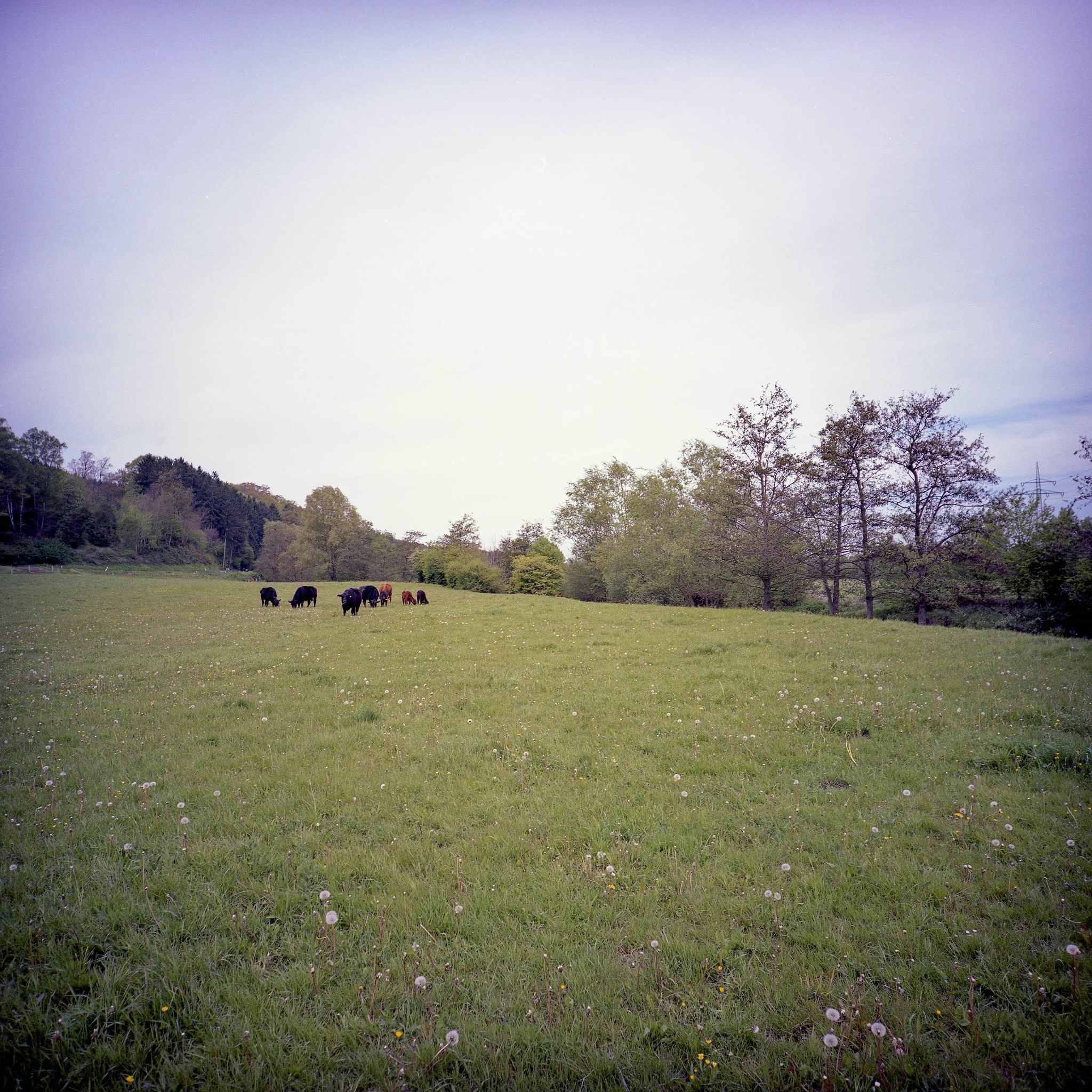 2017 05 06 lomo 07 vkl 33659143384 o