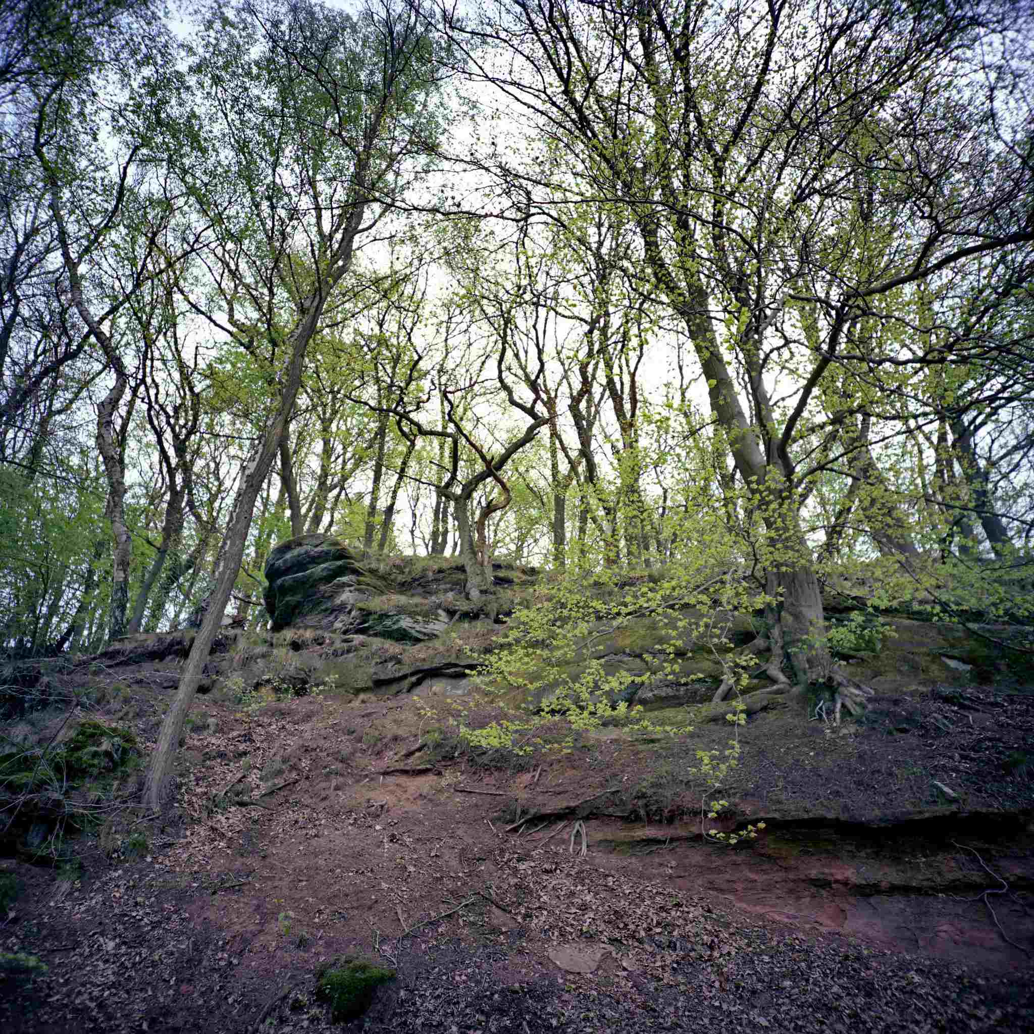 2017 05 06 lomo 08 vkl 34460190326 o