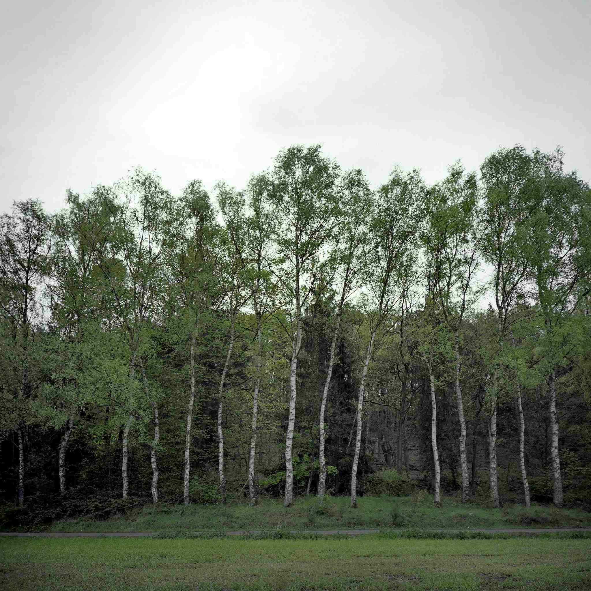 2017 05 06 lomo 09 vkl 34460191166 o