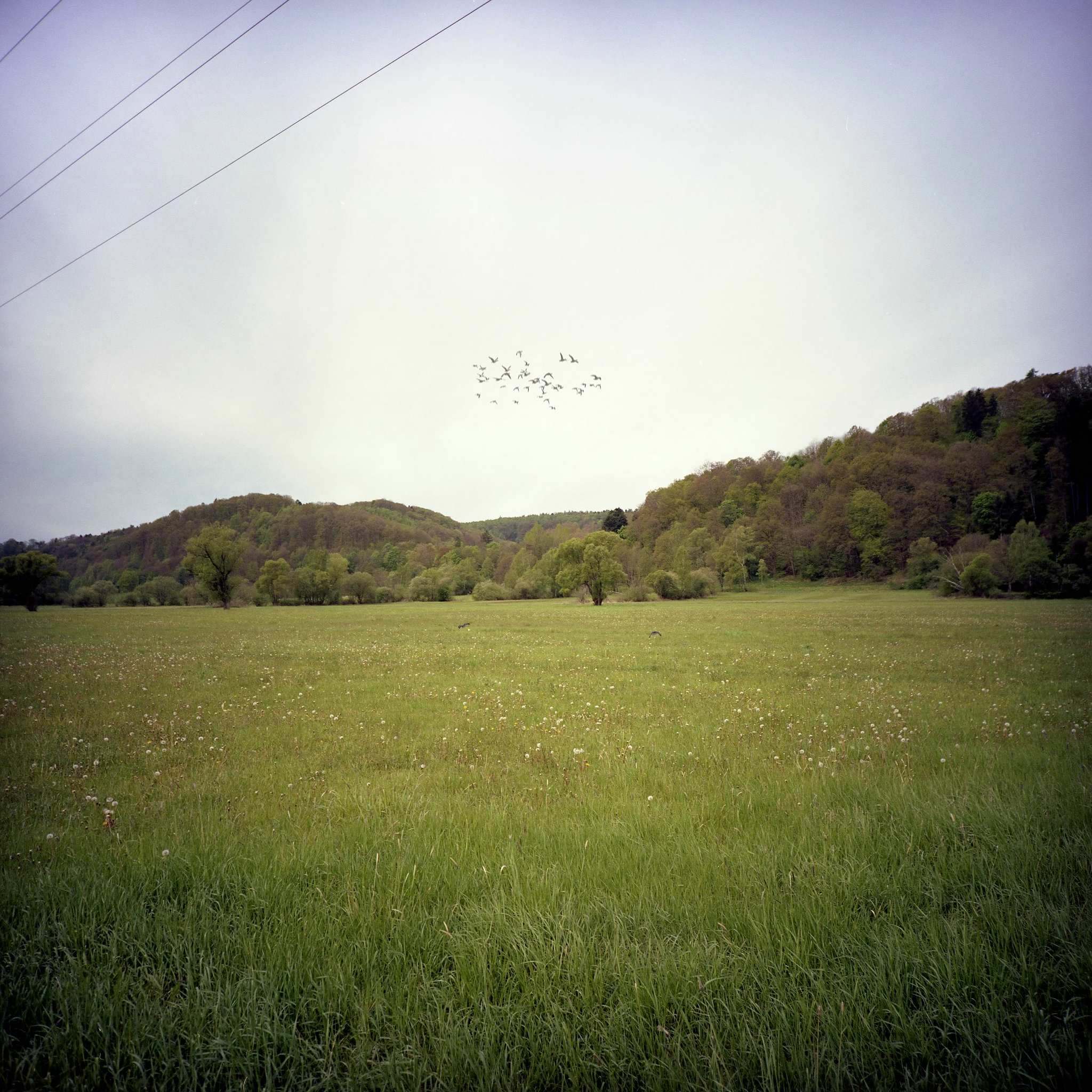 2017 05 06 lomo 10 vkl 33659147714 o