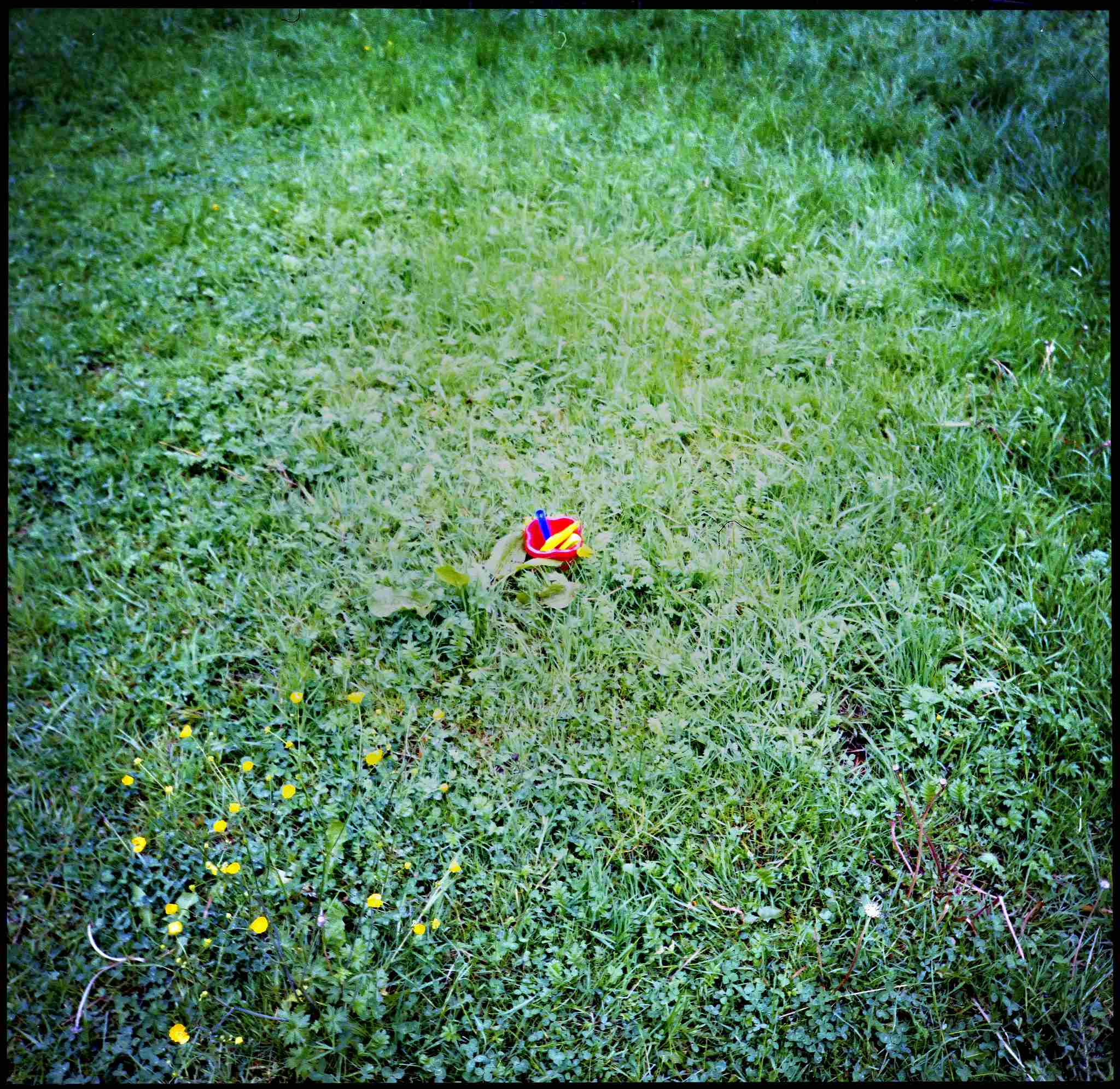 2017 06 05 lomo lca 120 01 34276034984 o