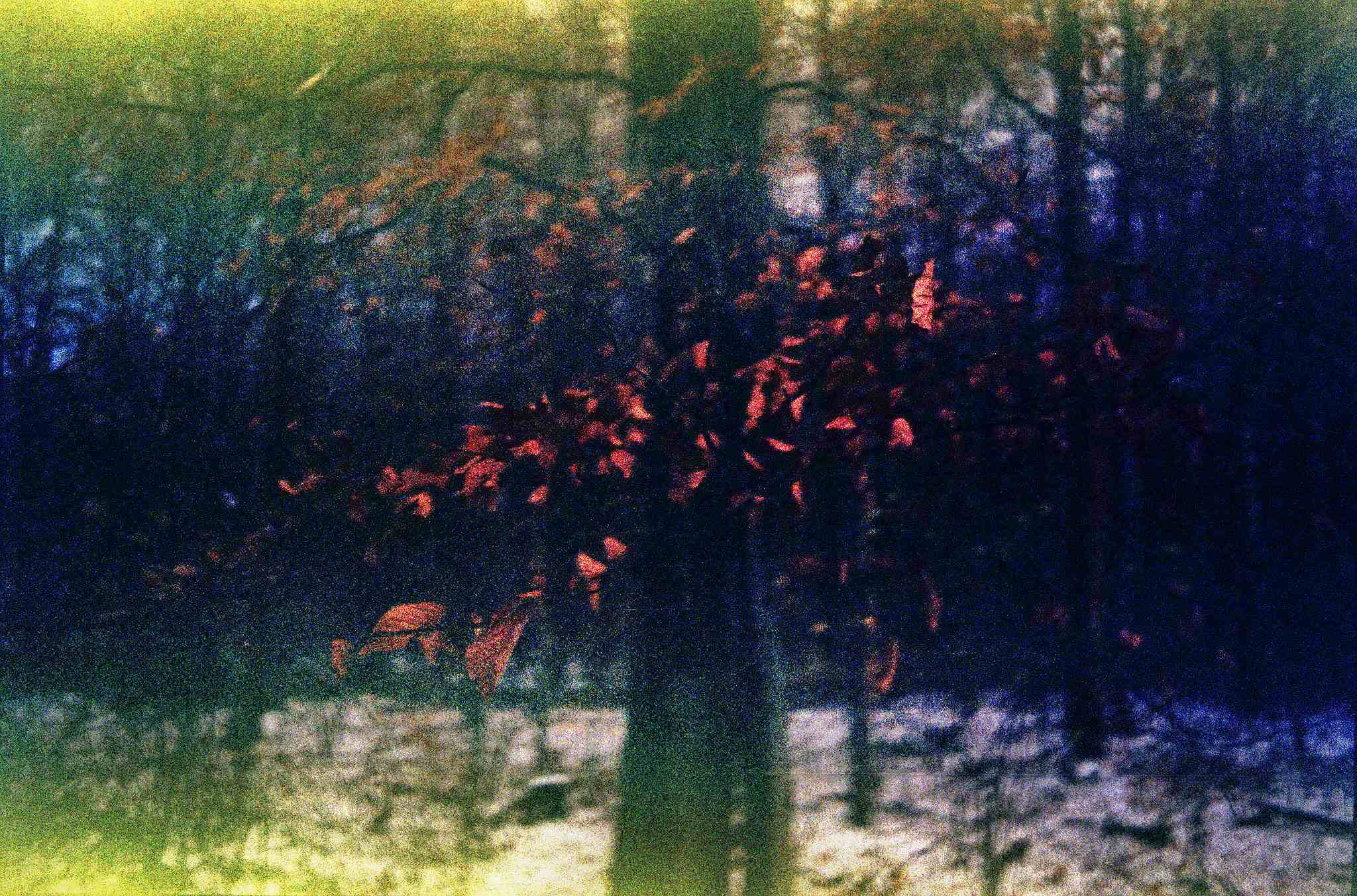 2017 12 01 minox35gt   2 38067993114 o