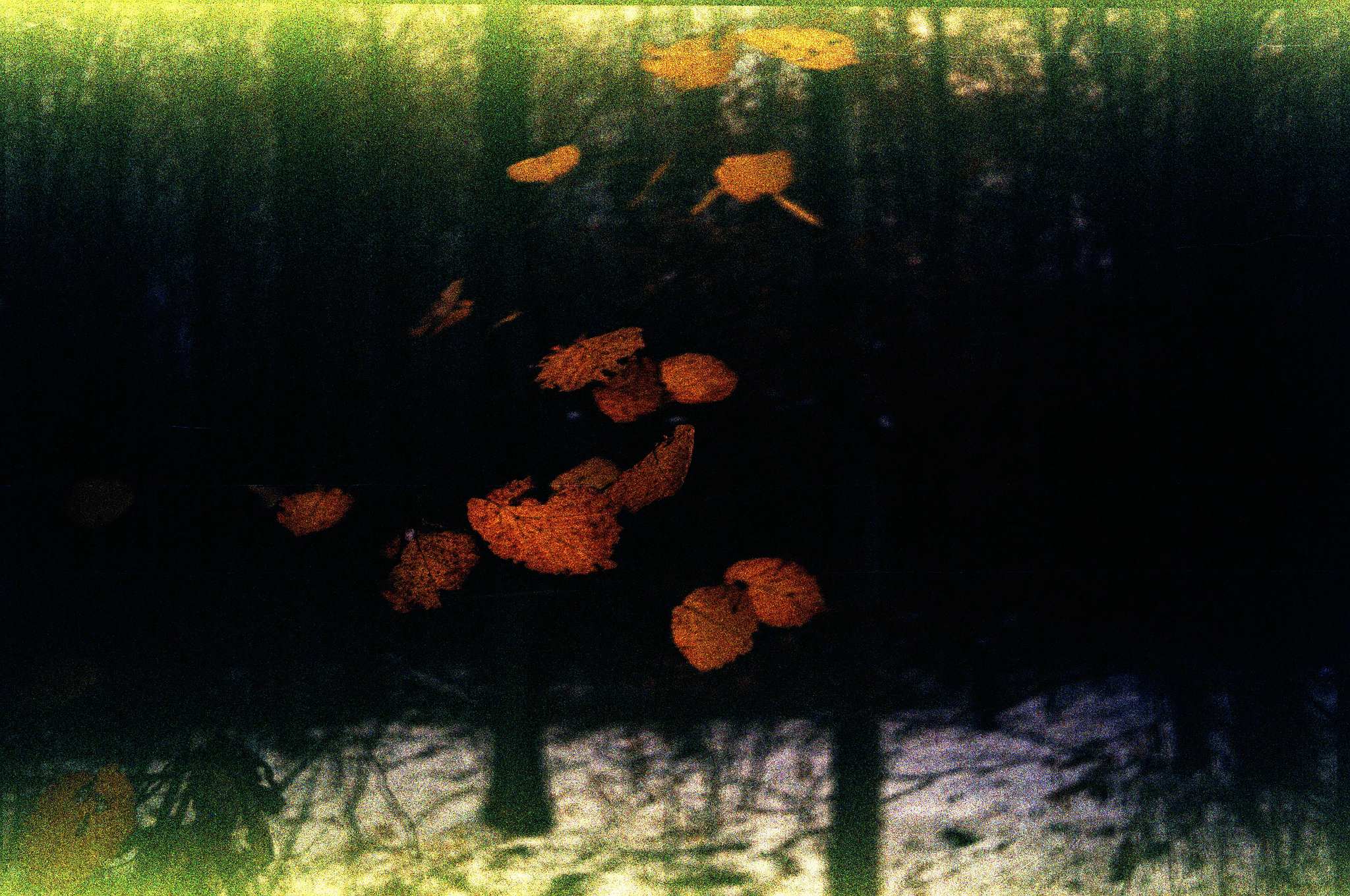 2017 12 01 minox35gt   5 38753888482 o