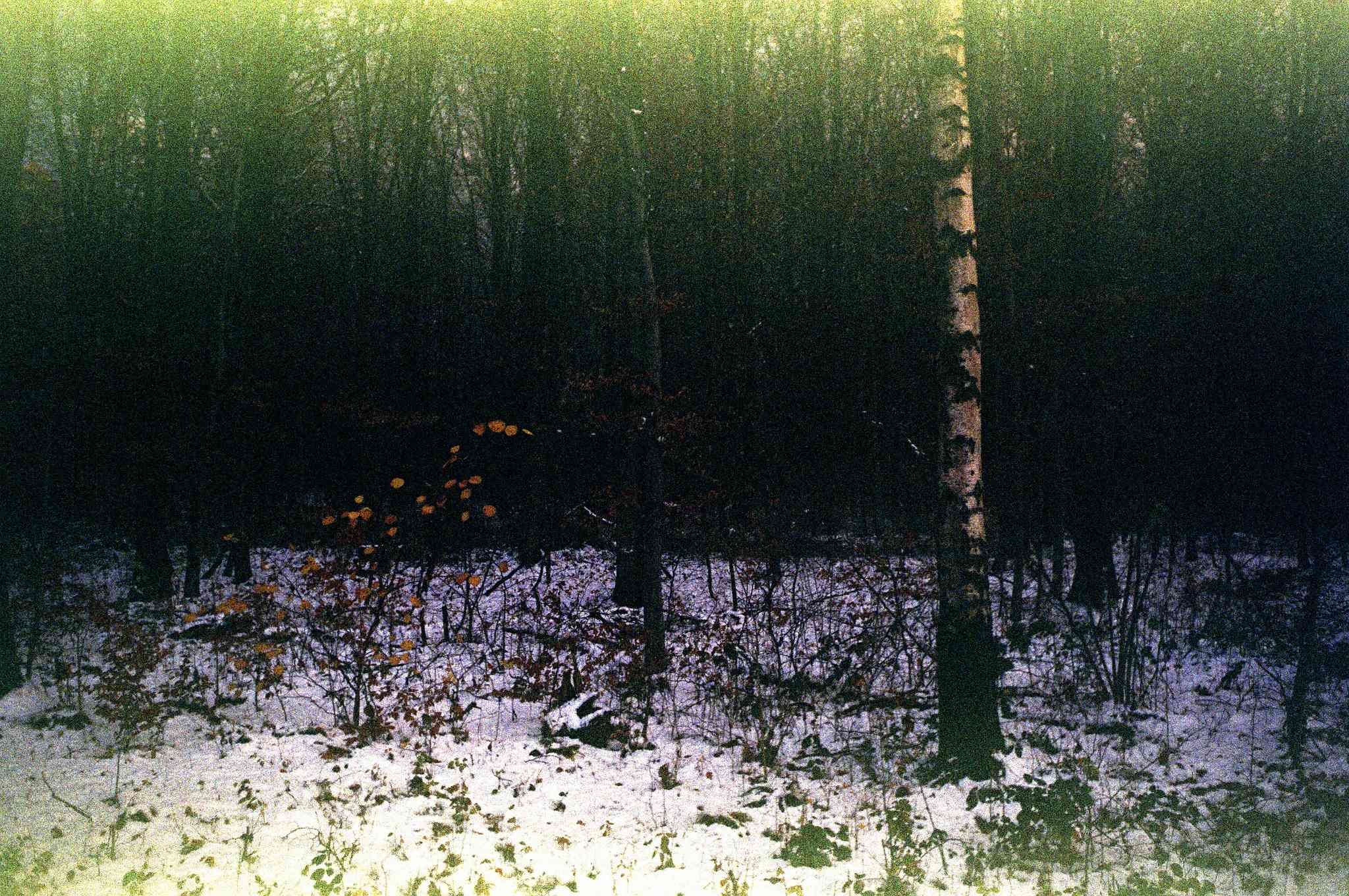 2017 12 01 minox35gt   8 27009279329 o