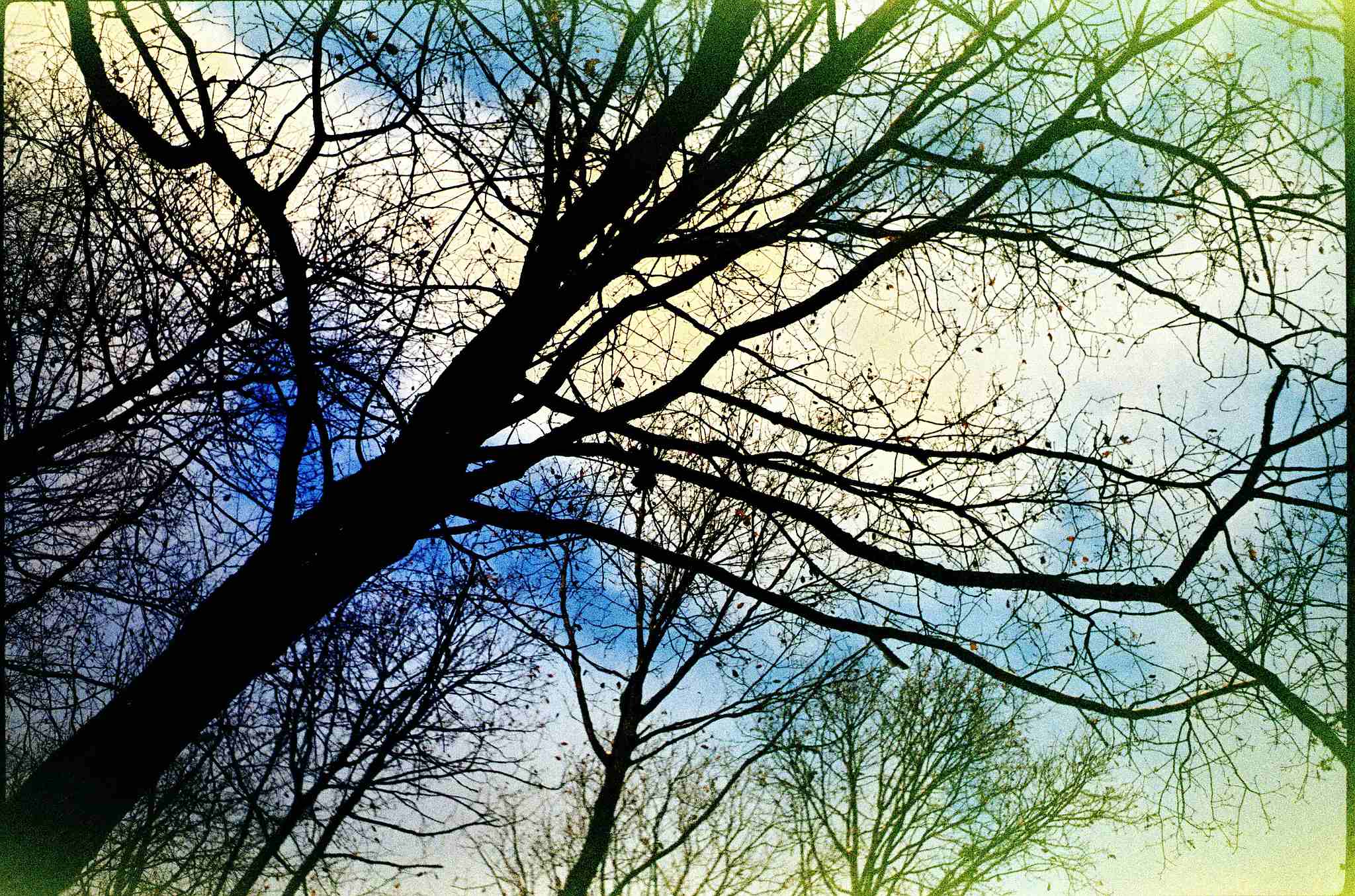 2017 12 01minox35gt  2 38784431951 o