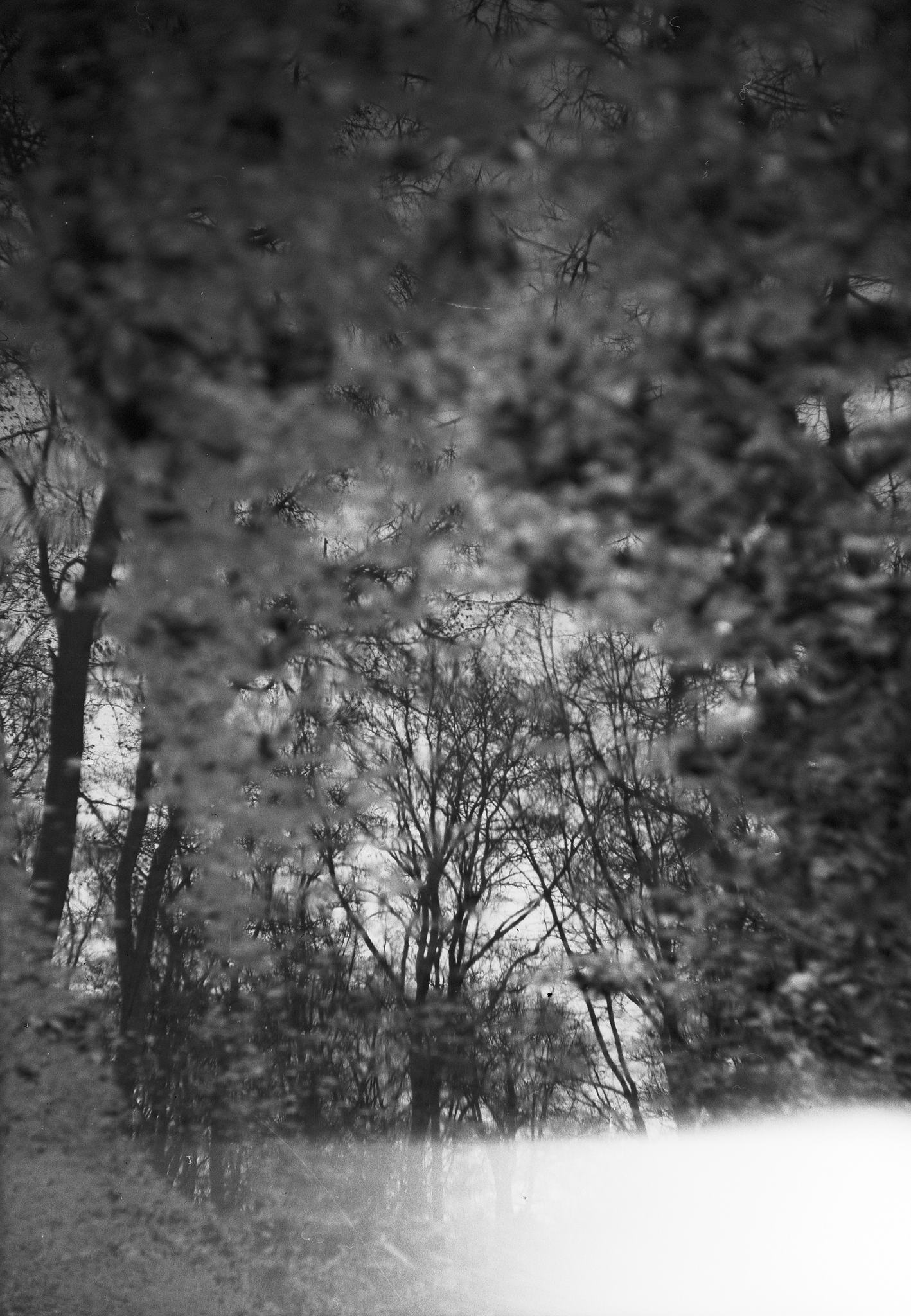 2017 12 21 bessarf 1 25337297028 o