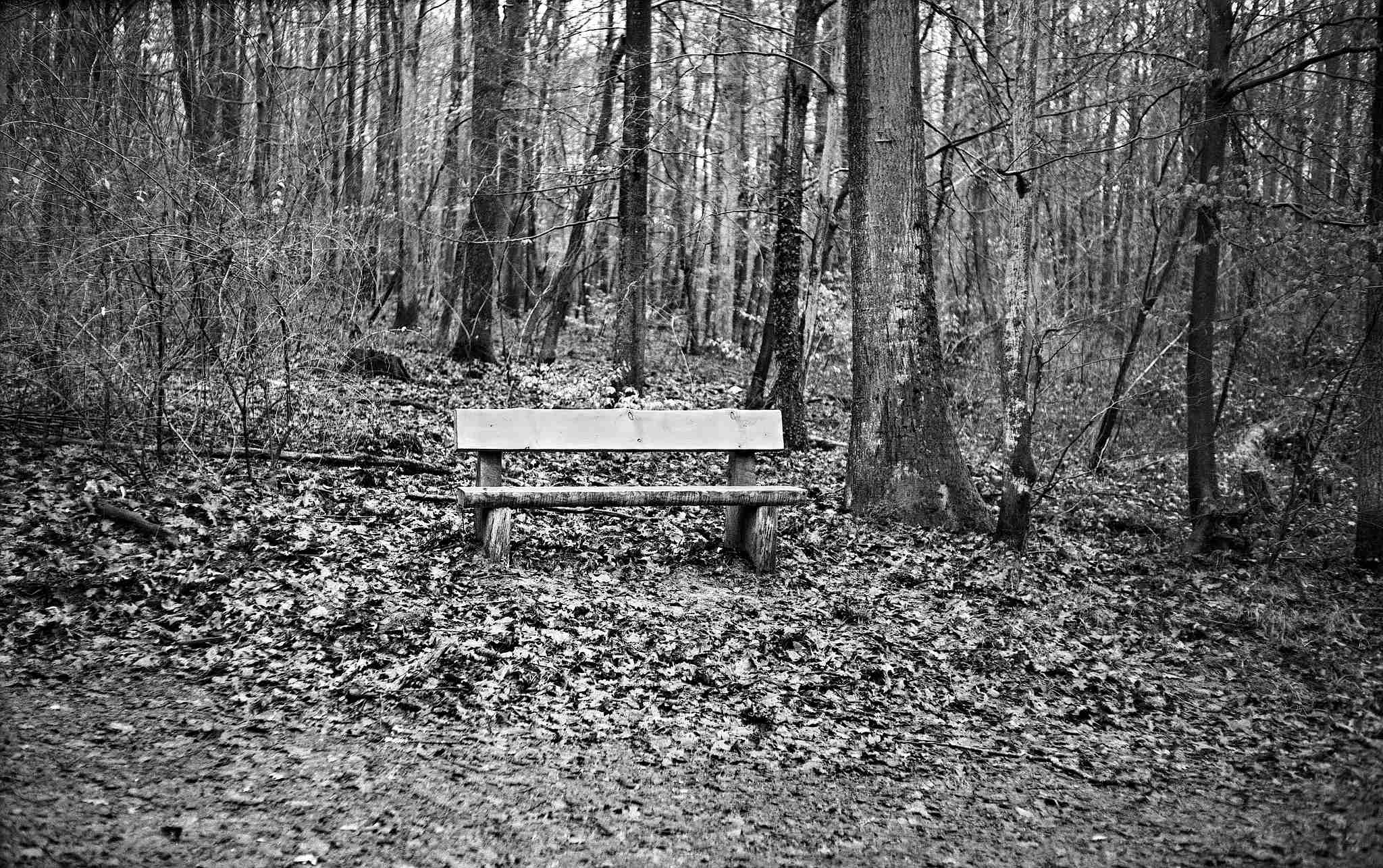 2017 12 21 bessarf 5 24341541217 o