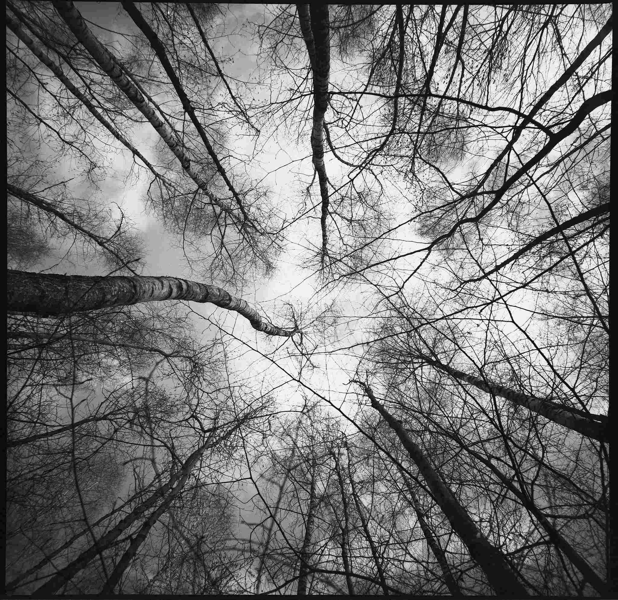 2018 03 08 lomo lca 120  04 39855797615 o