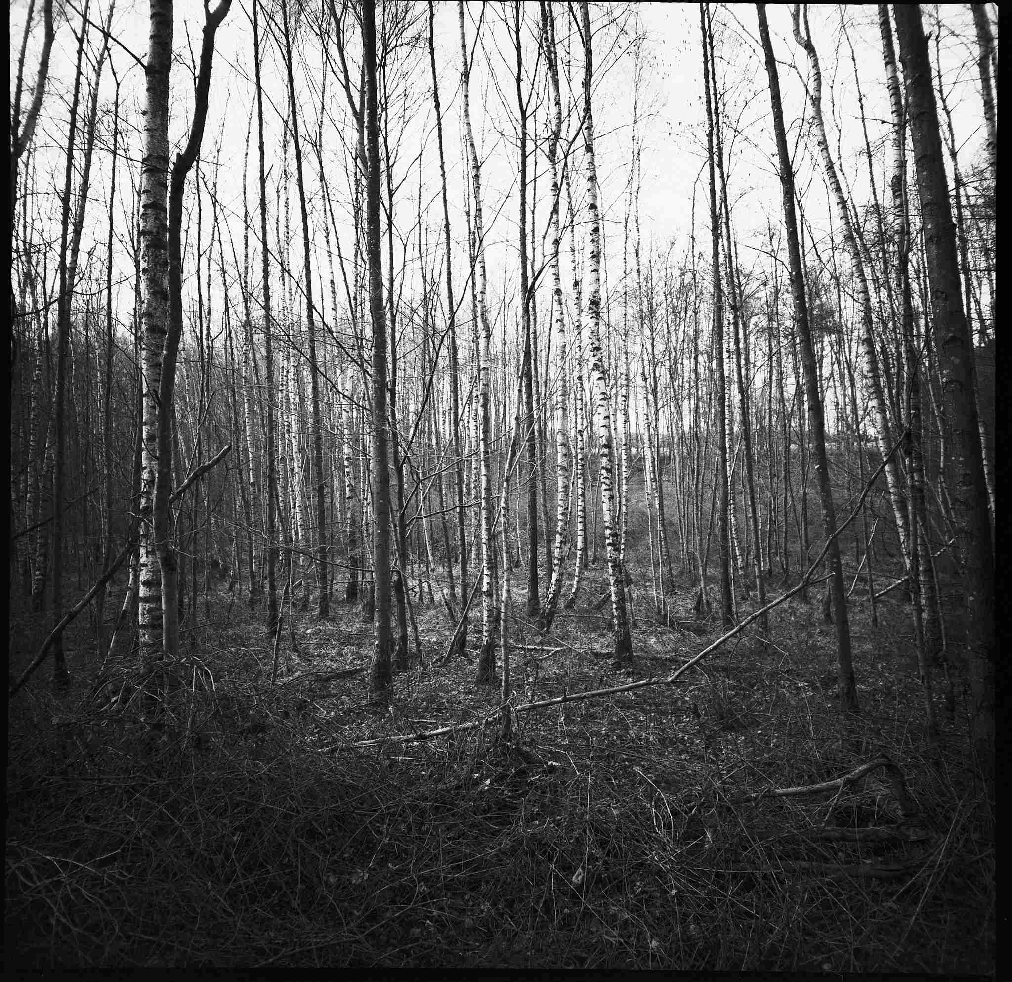 2018 03 08 lomo lca 120  05 38940207280 o