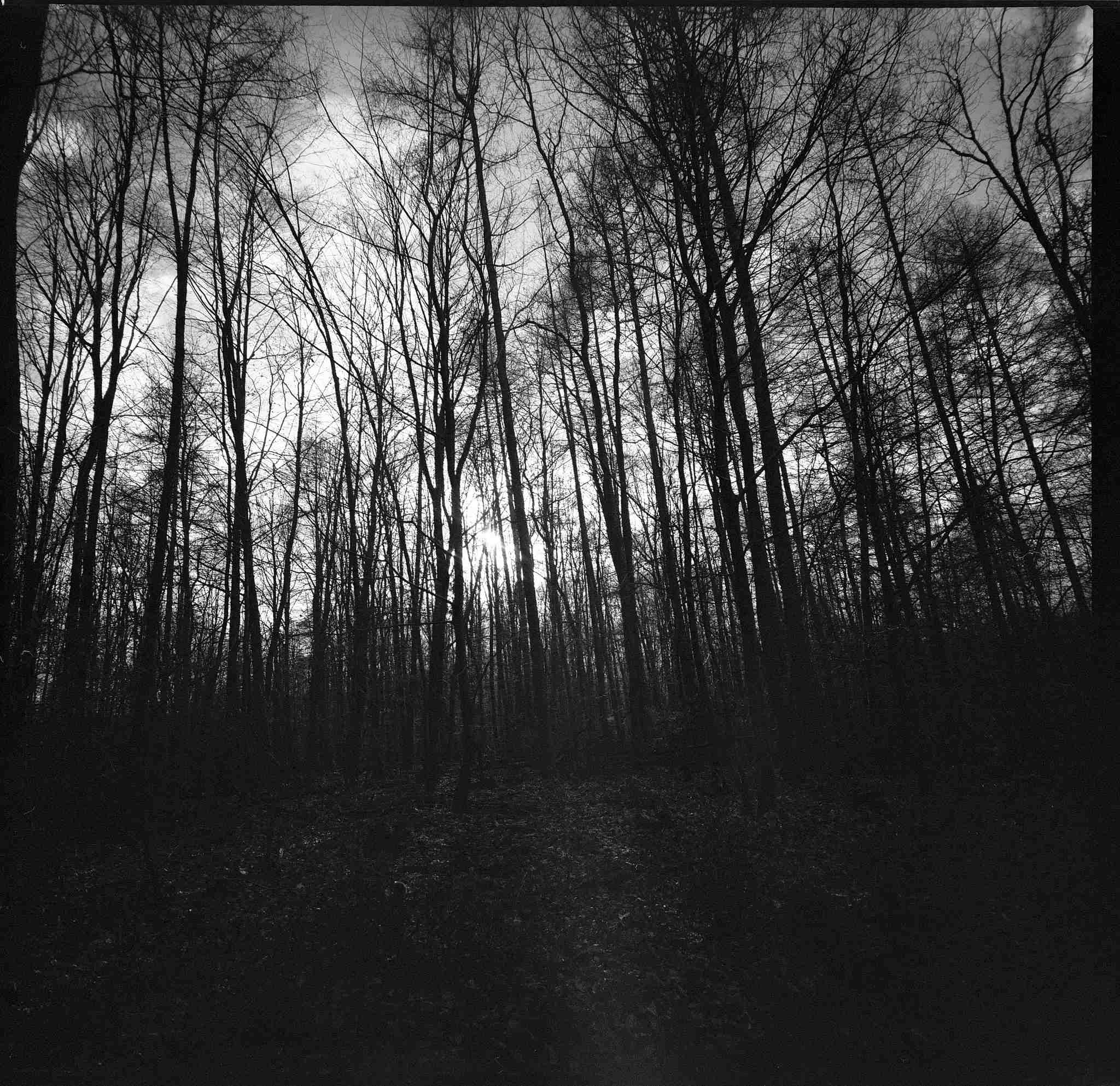 2018 03 08 lomo lca 120  07 26879601398 o