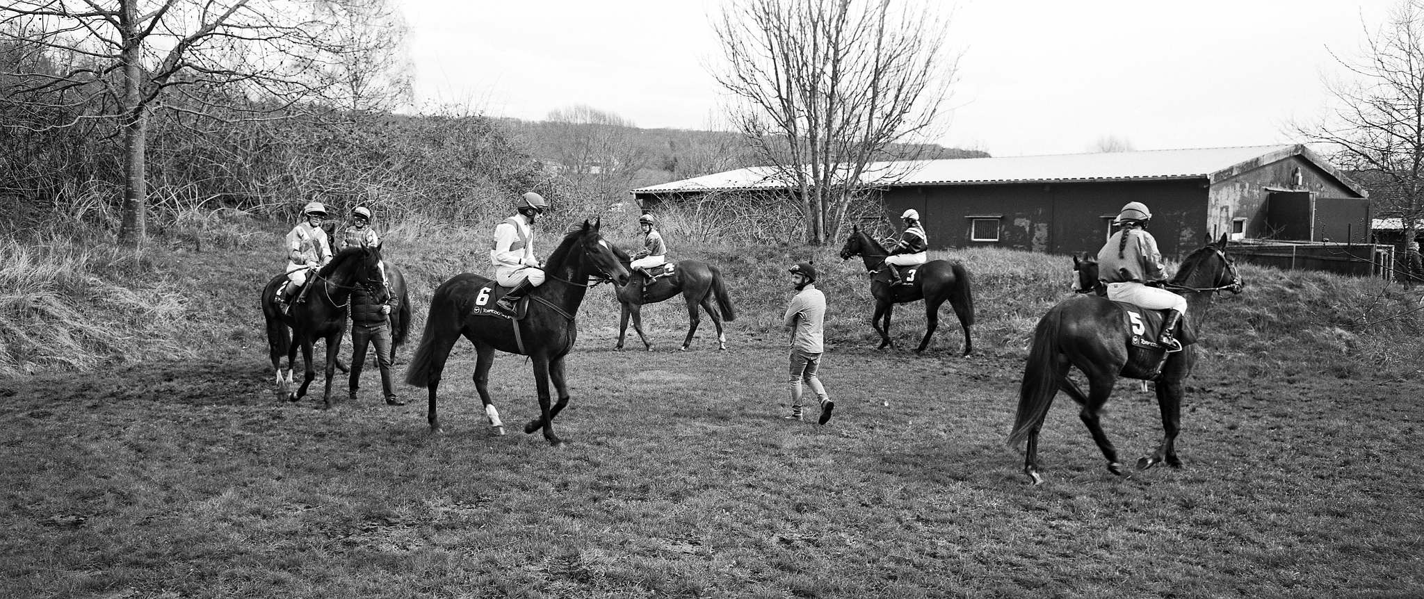 2018 04 02 holga pan 6x12 02 22 40489271364 o