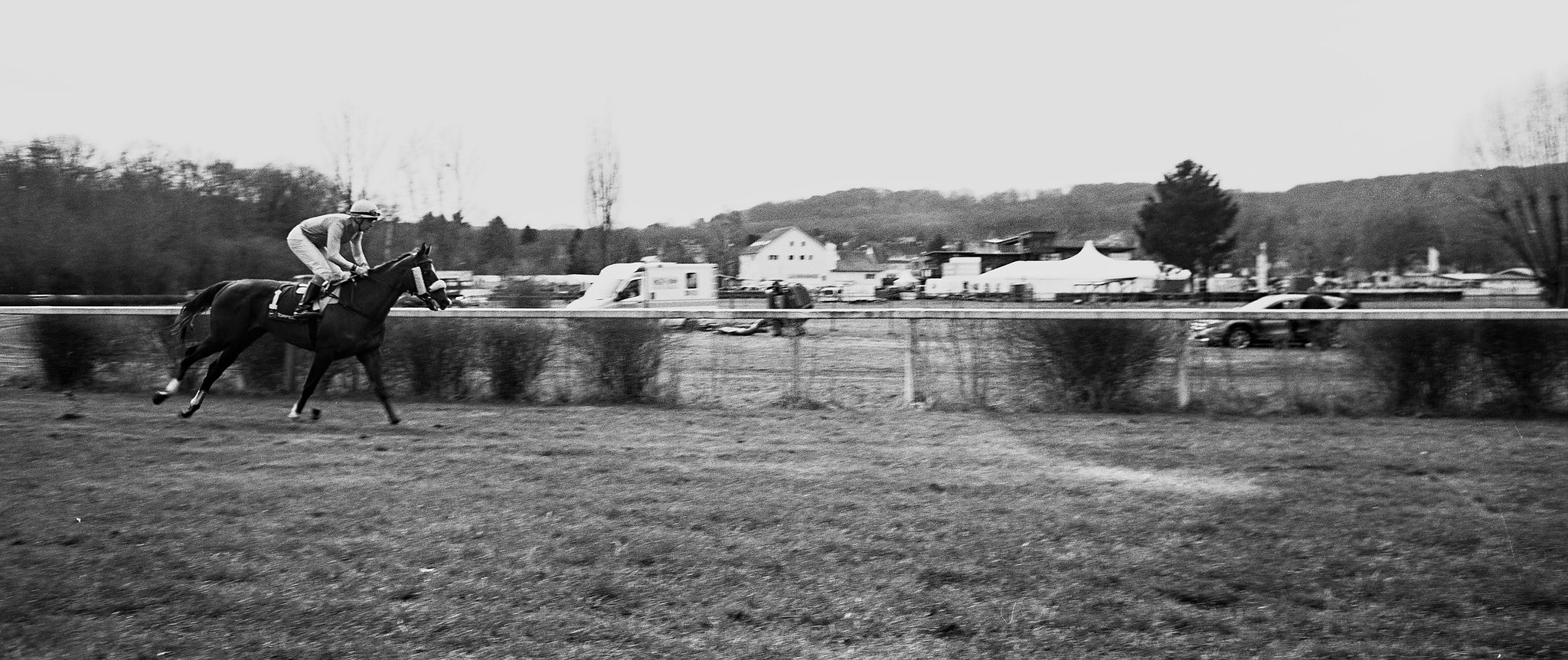 2018 04 02 holga pan 6x12 07 23 27329433798 o