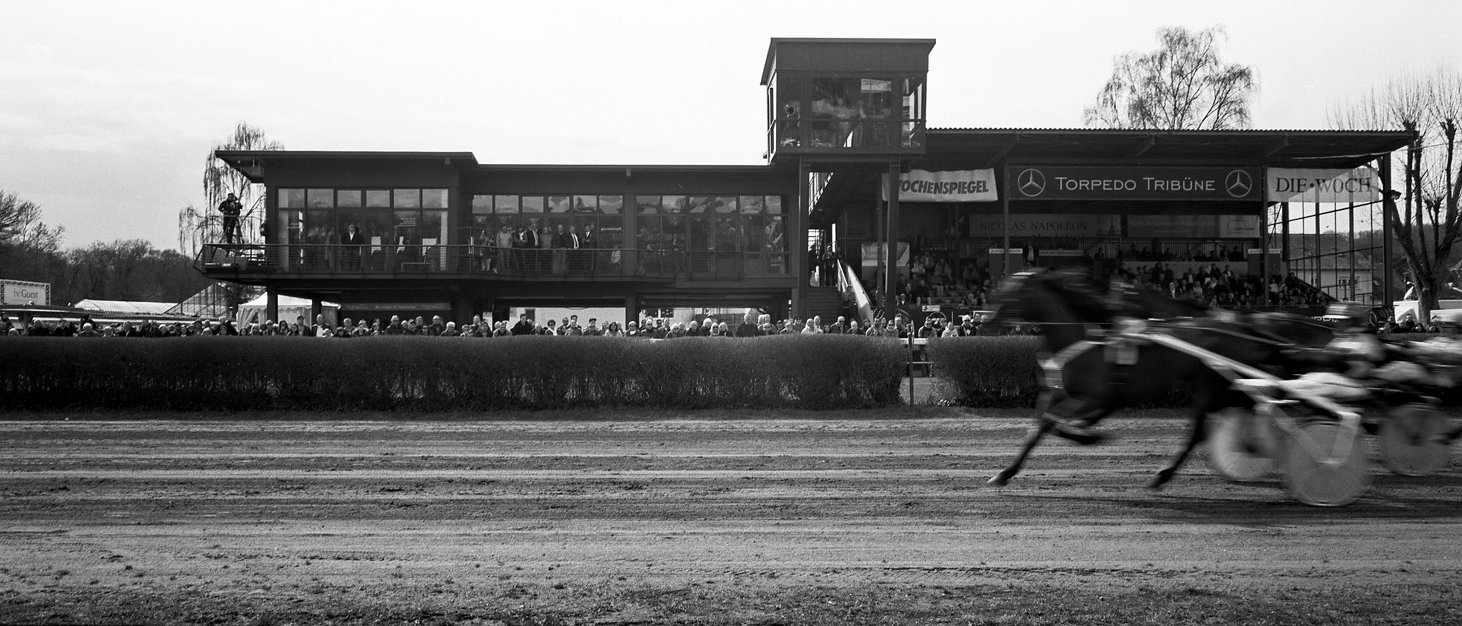 2018 04 02 holga pan 6x12 11 09 40307436295 o