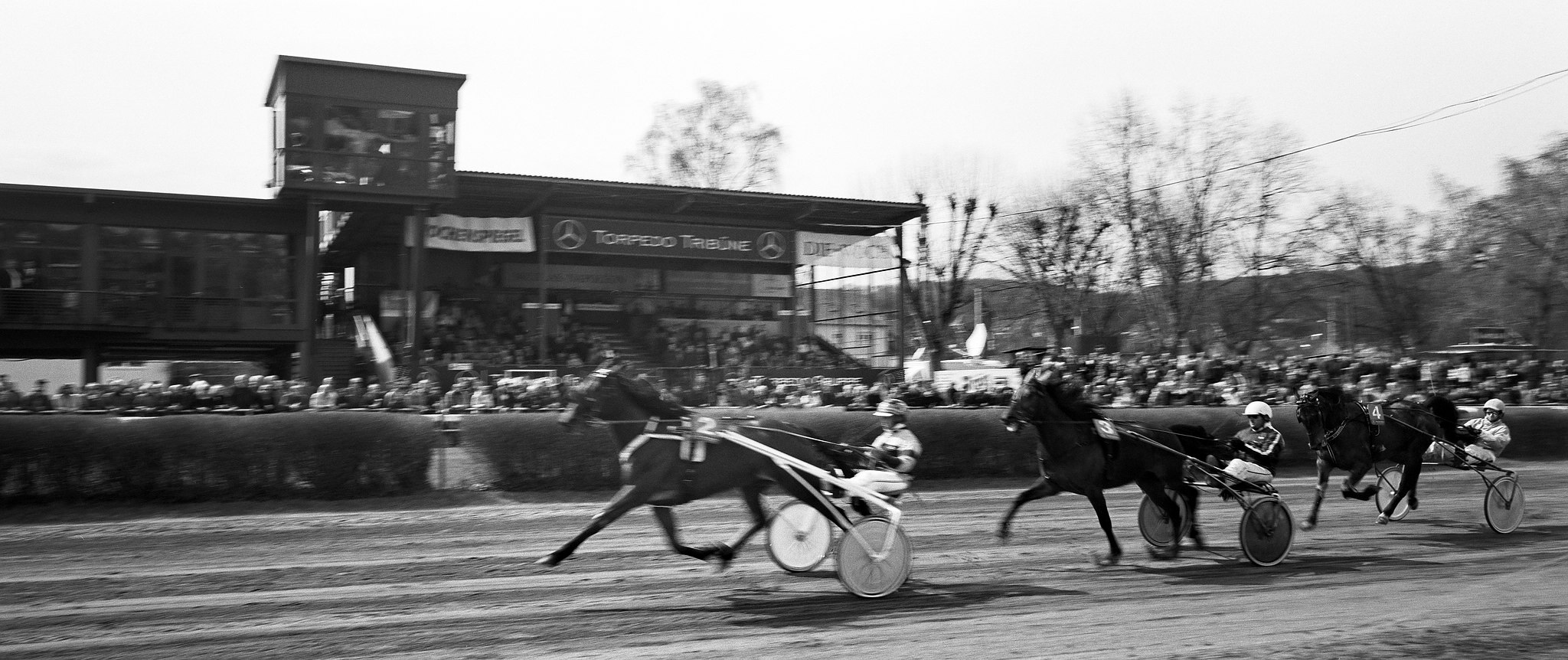 2018 04 02 holga pan 6x12 12 10 39393168800 o