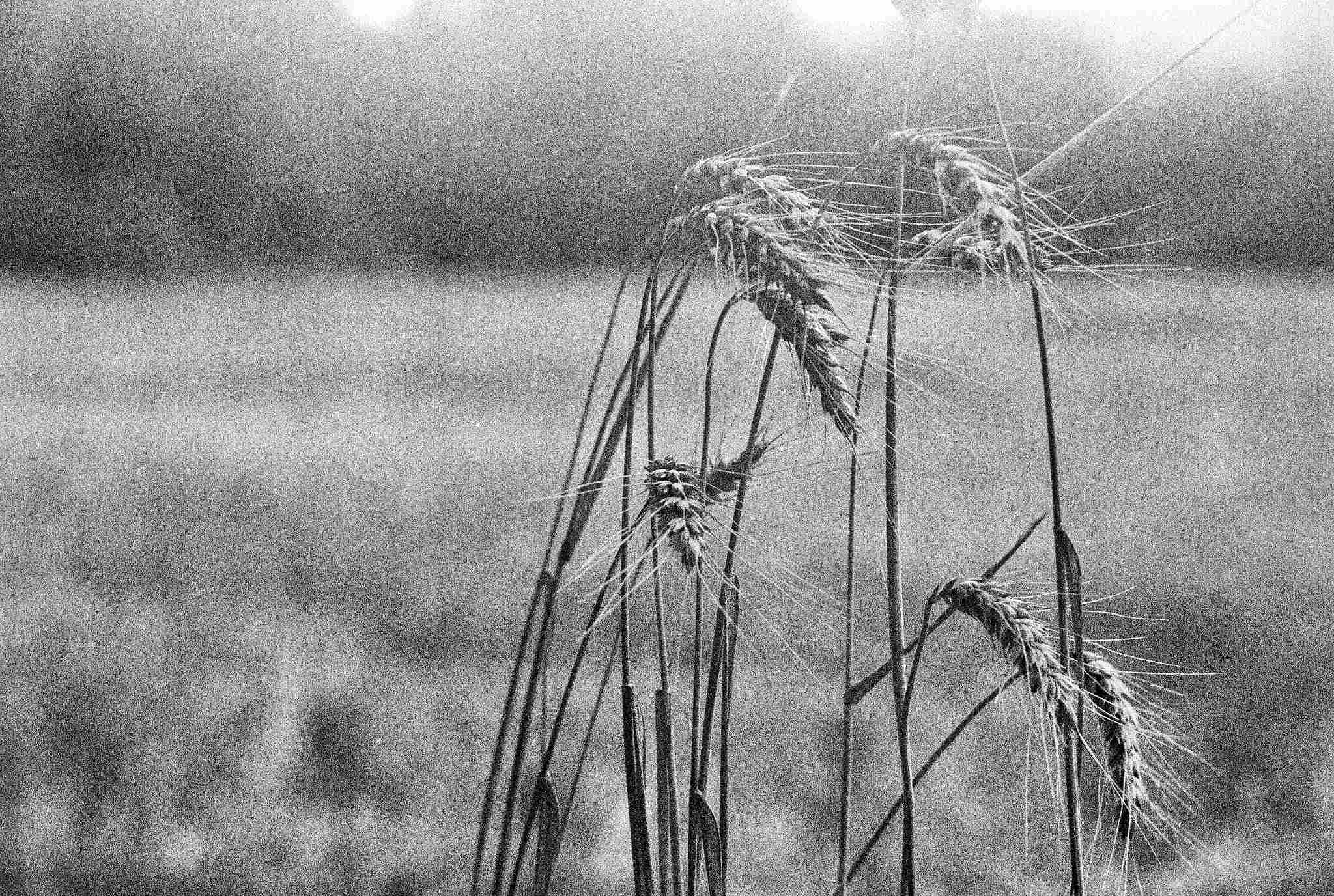 2018 07 26 cle elmar 47 41869682000 o