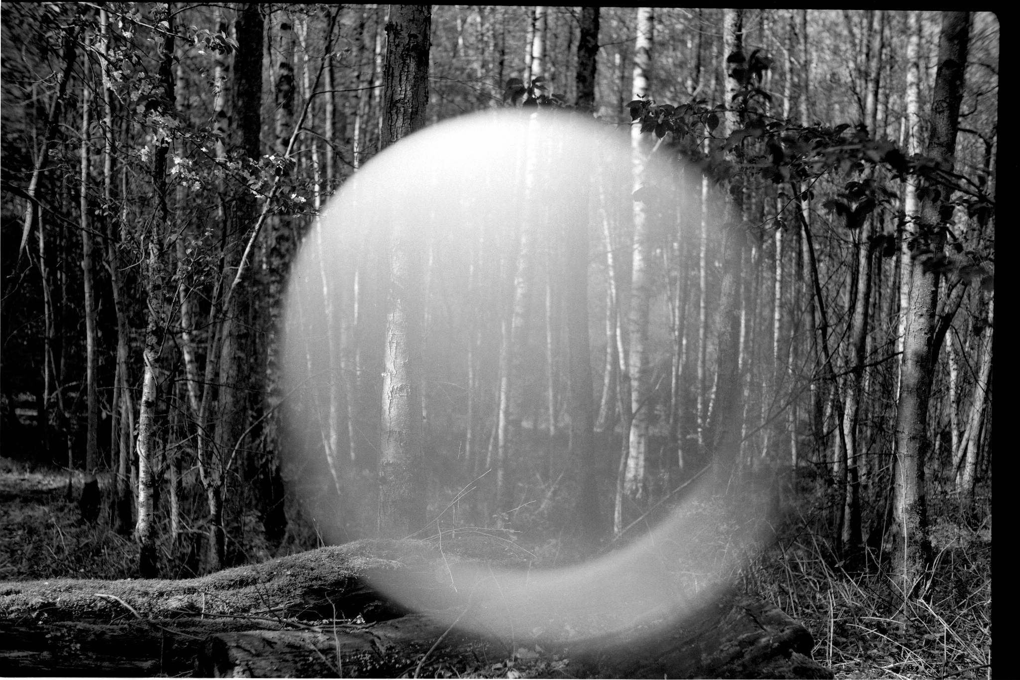 4 plaubel makina von 1931 52021084173 o