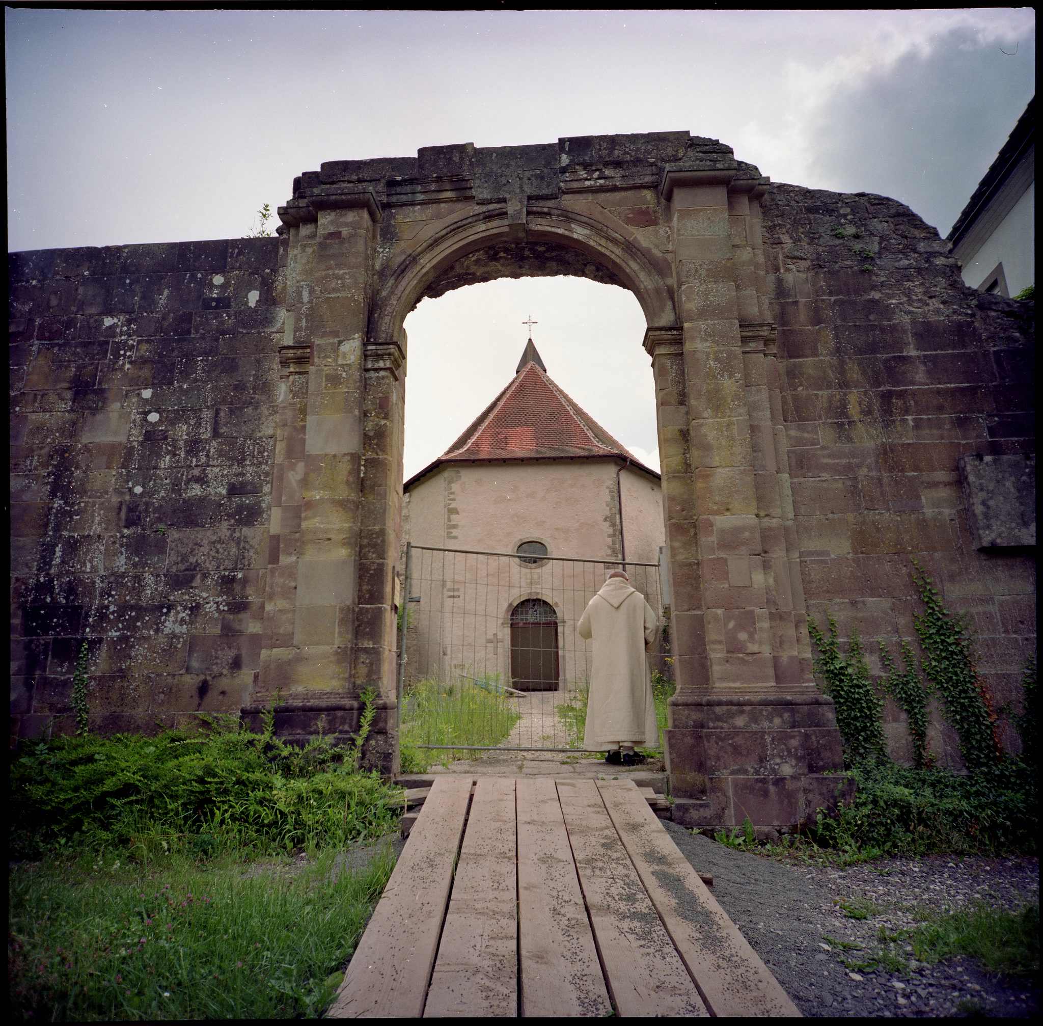 Olivetaner 35726867533 o