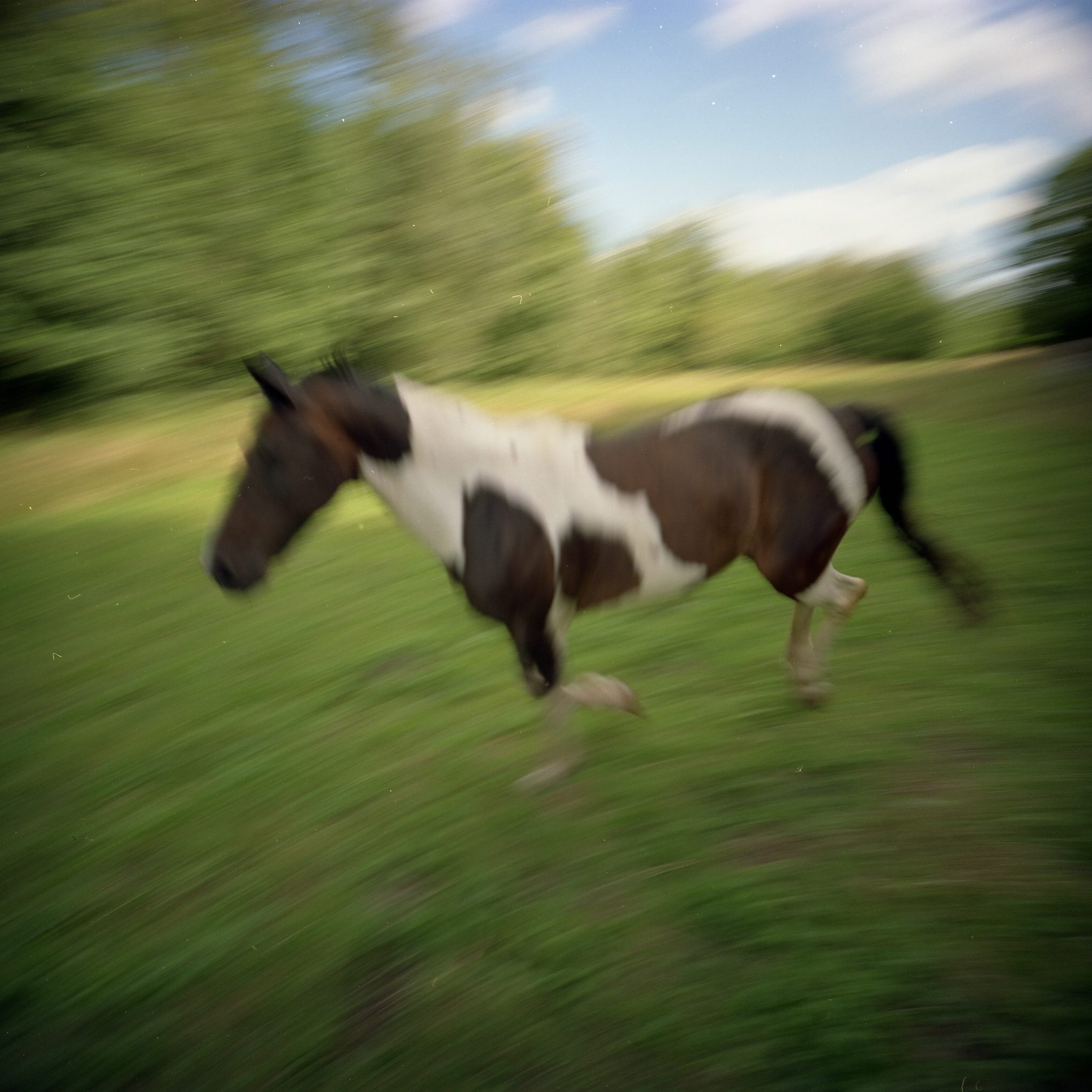 Pauline rennt 36398350301 o