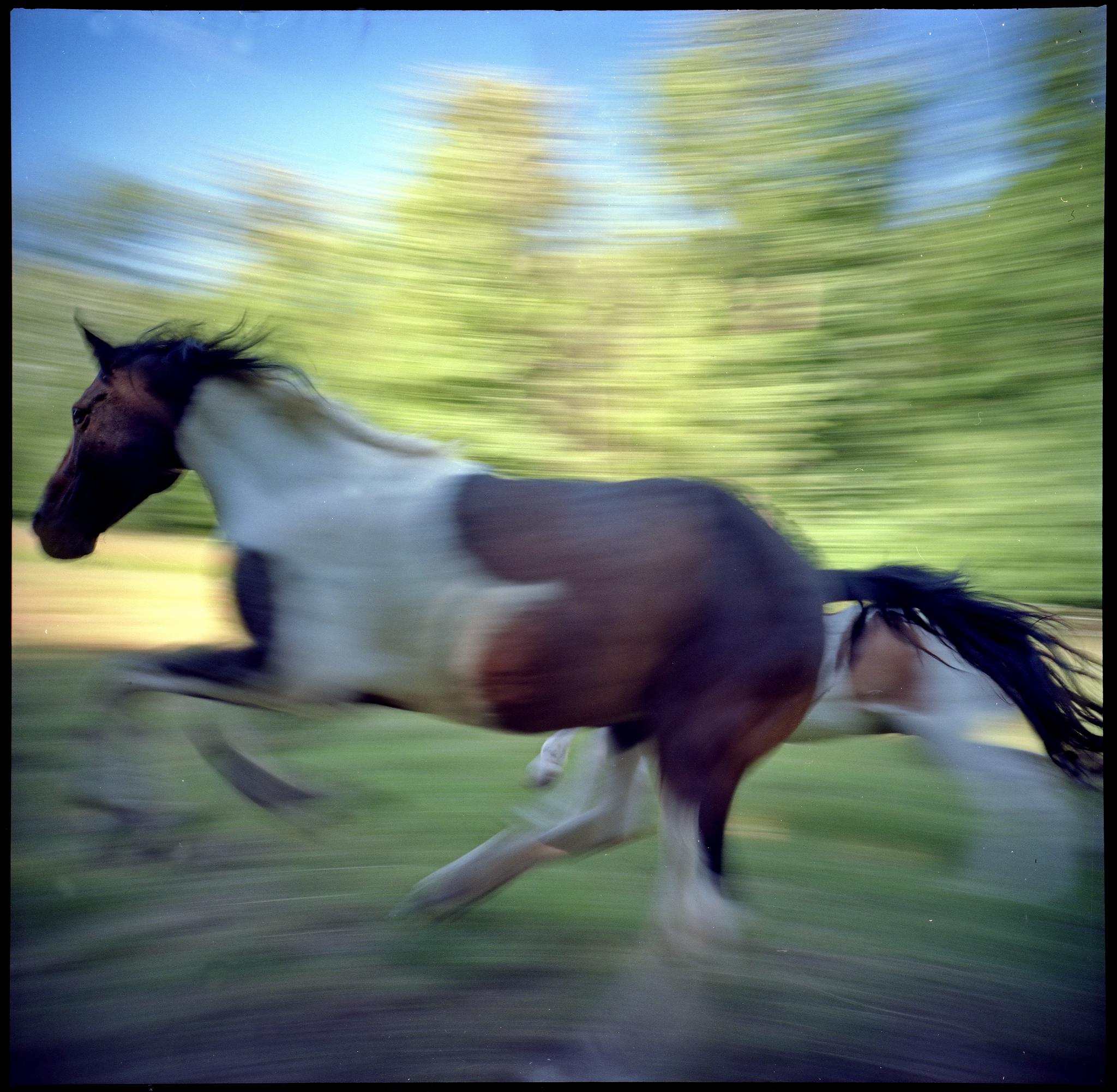 Renn pauline renn 35700774554 o