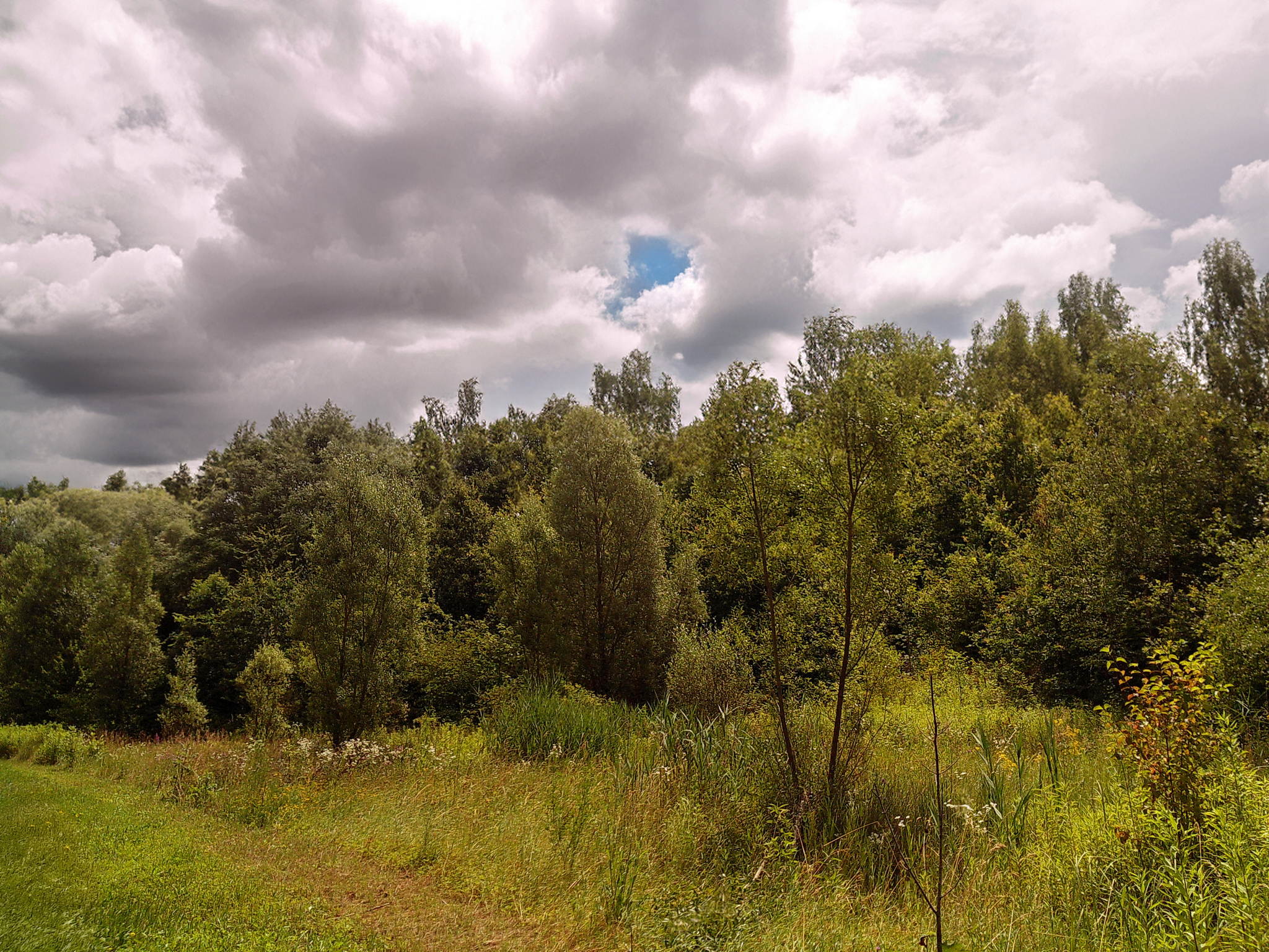 Dscf0011a 53892051462 o