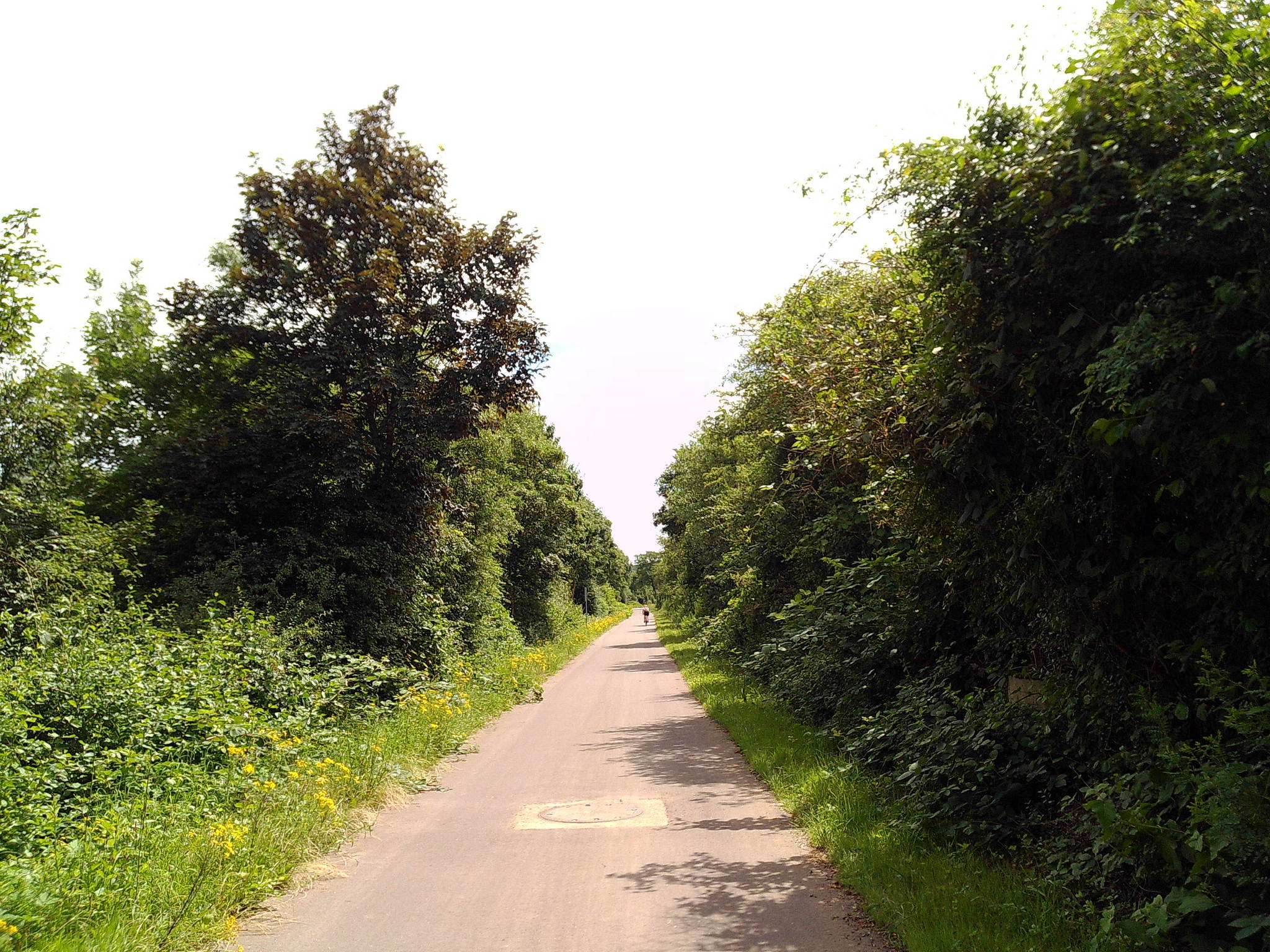 Dscf0012 53893302119 o 2