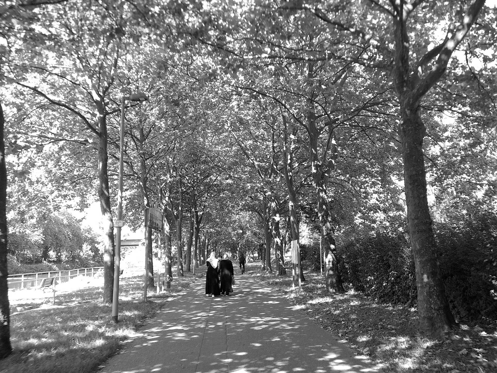 Dscf0015 3 53893383530 o 2