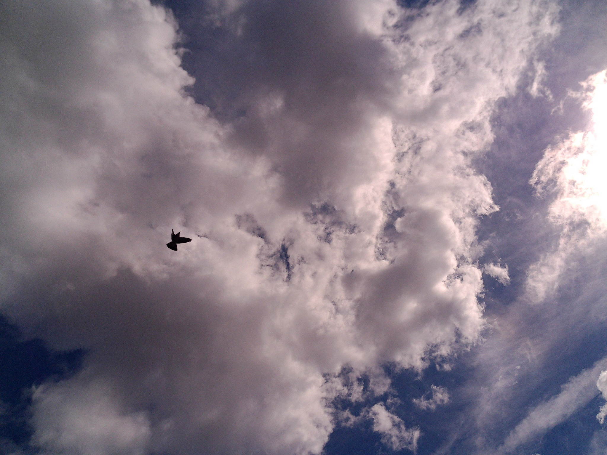 Dscf0016 53892051712 o 2