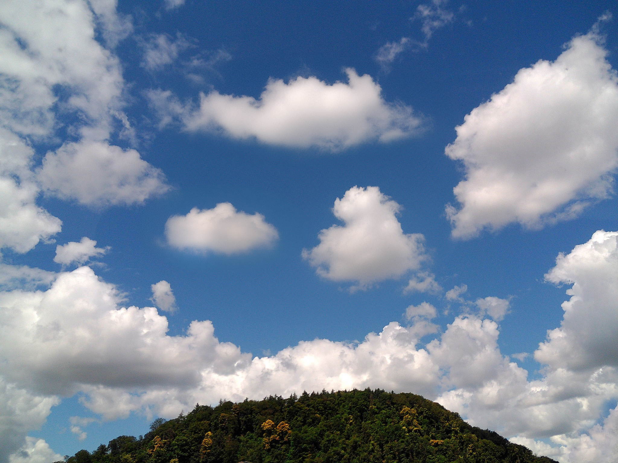 Dscf0020 2 53893383900 o 2