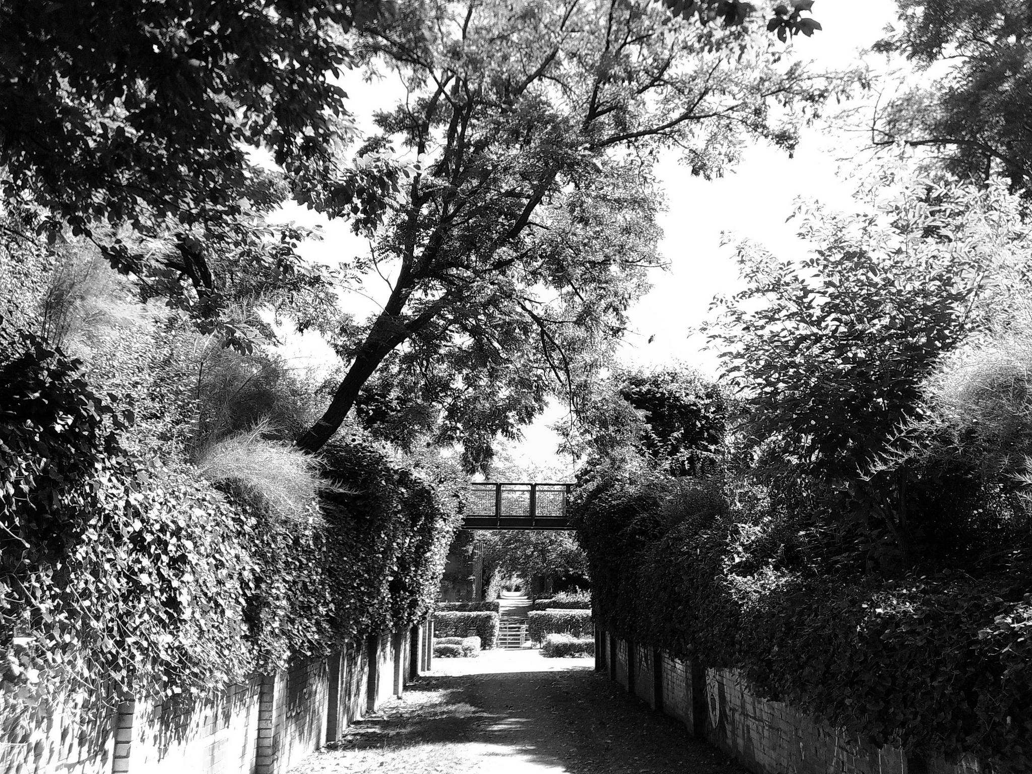 Dscf0024 2 53893209698 o