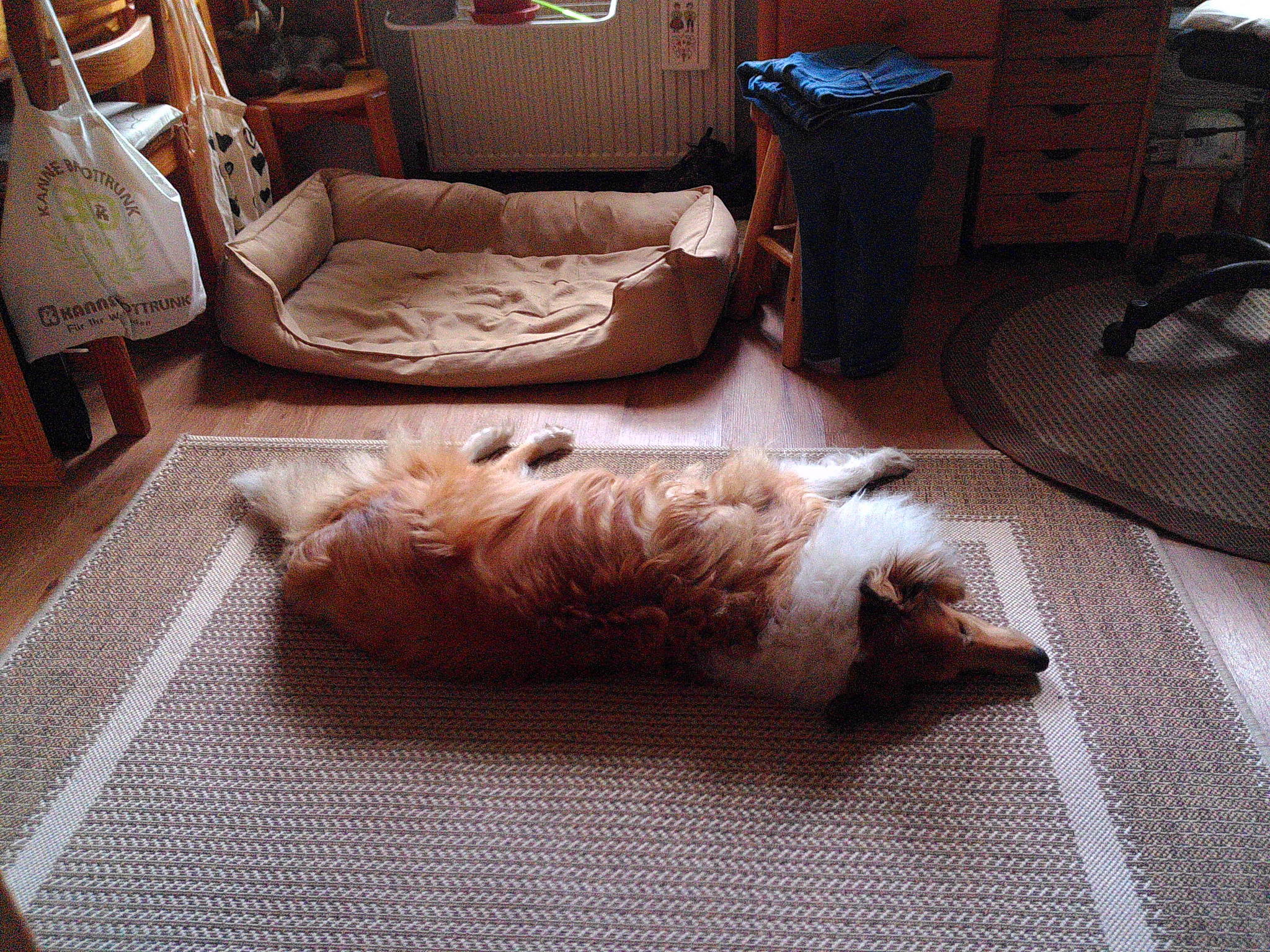 Dscf0060 53893303104 o