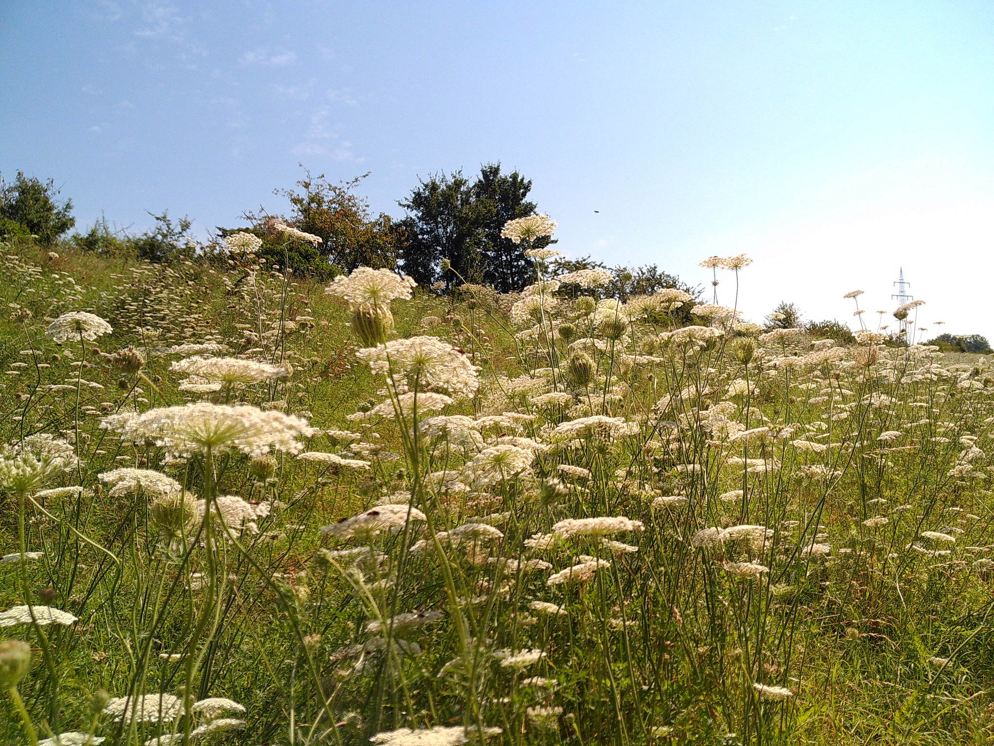 Dscf0094 53893321174 o